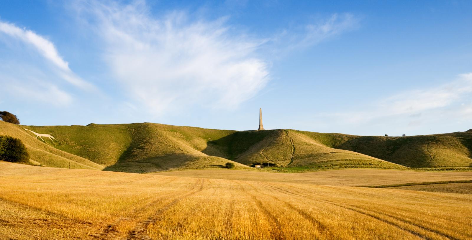 View onto landscape with prehistoric monuments like Oldbury Camp hillfort, the White Horse at Cherhill Down and listed Lansdowne Monument.