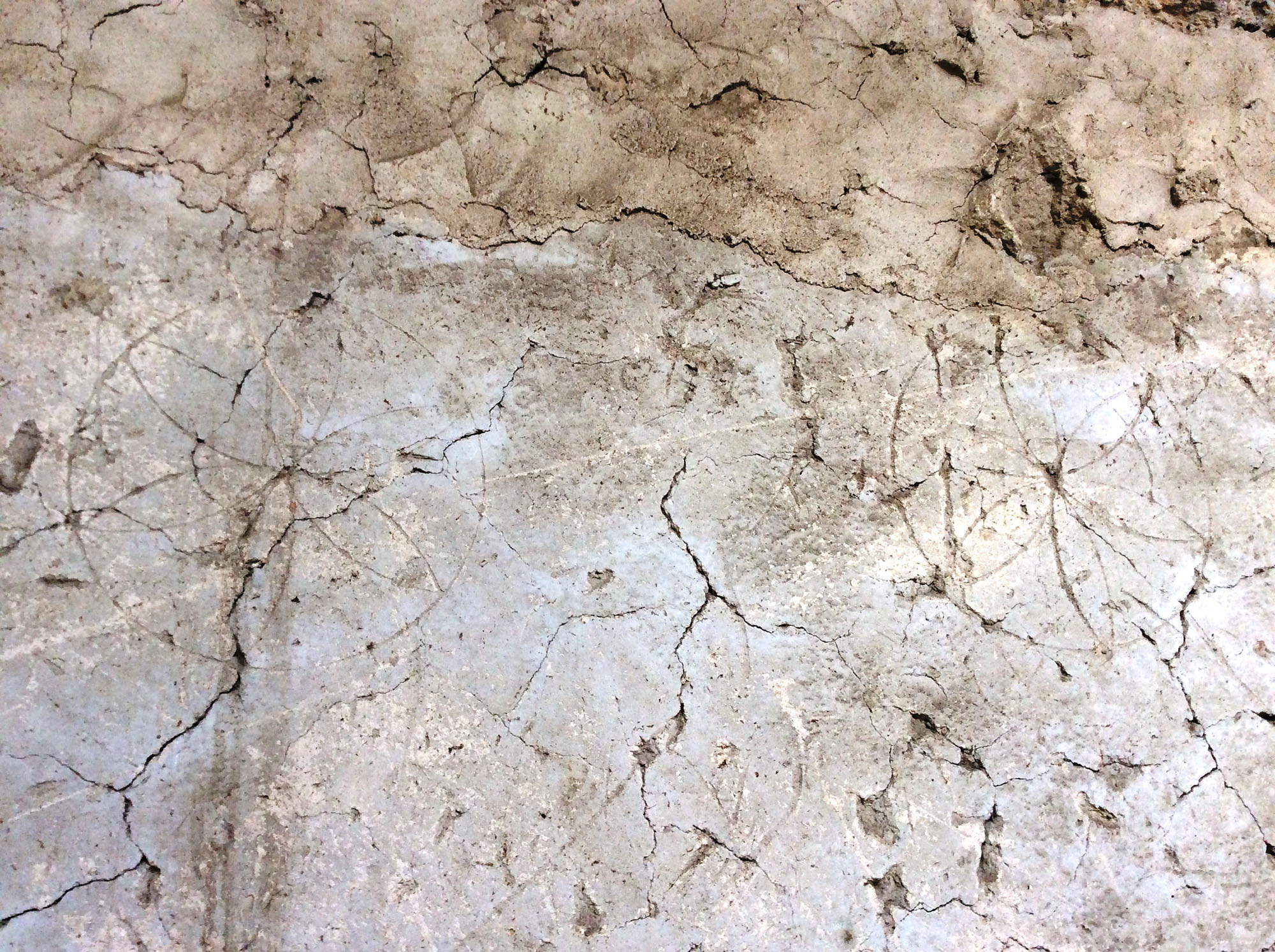 Multiple daisy wheels, along the top of the wall, carved into the lime plaster.