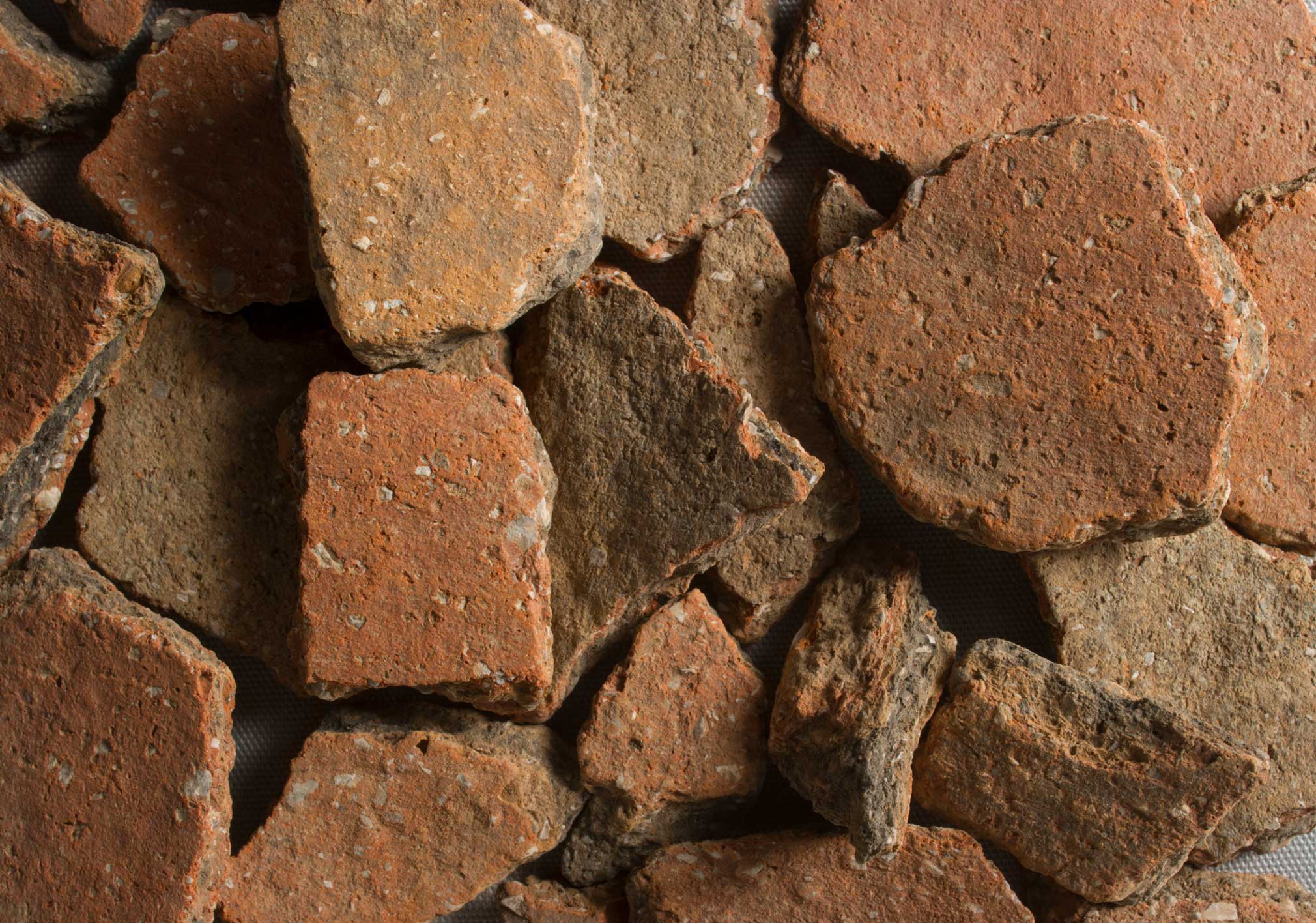 Sherds of pottery.