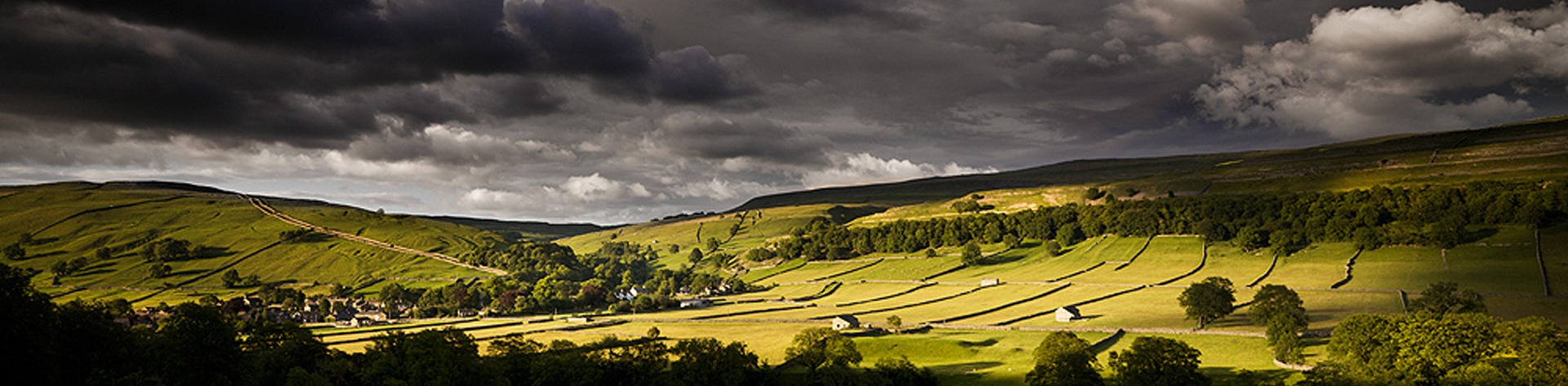 Field barns in the landscape of the Yorkshire Dales National Park