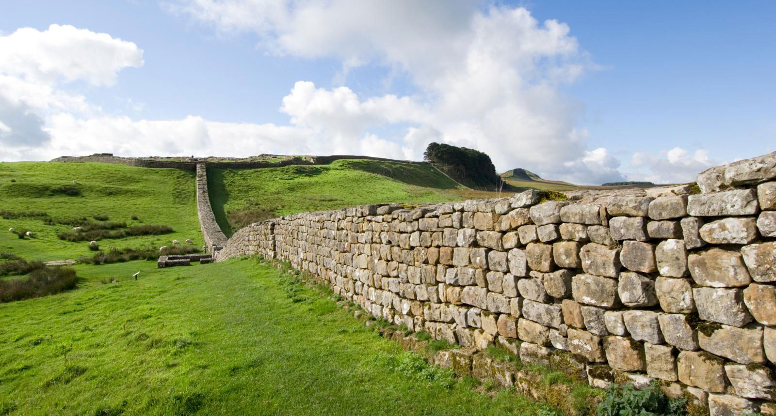 Hadrian's Wall, Northumberland. Section of wall running east over an undulating grassy landscape.