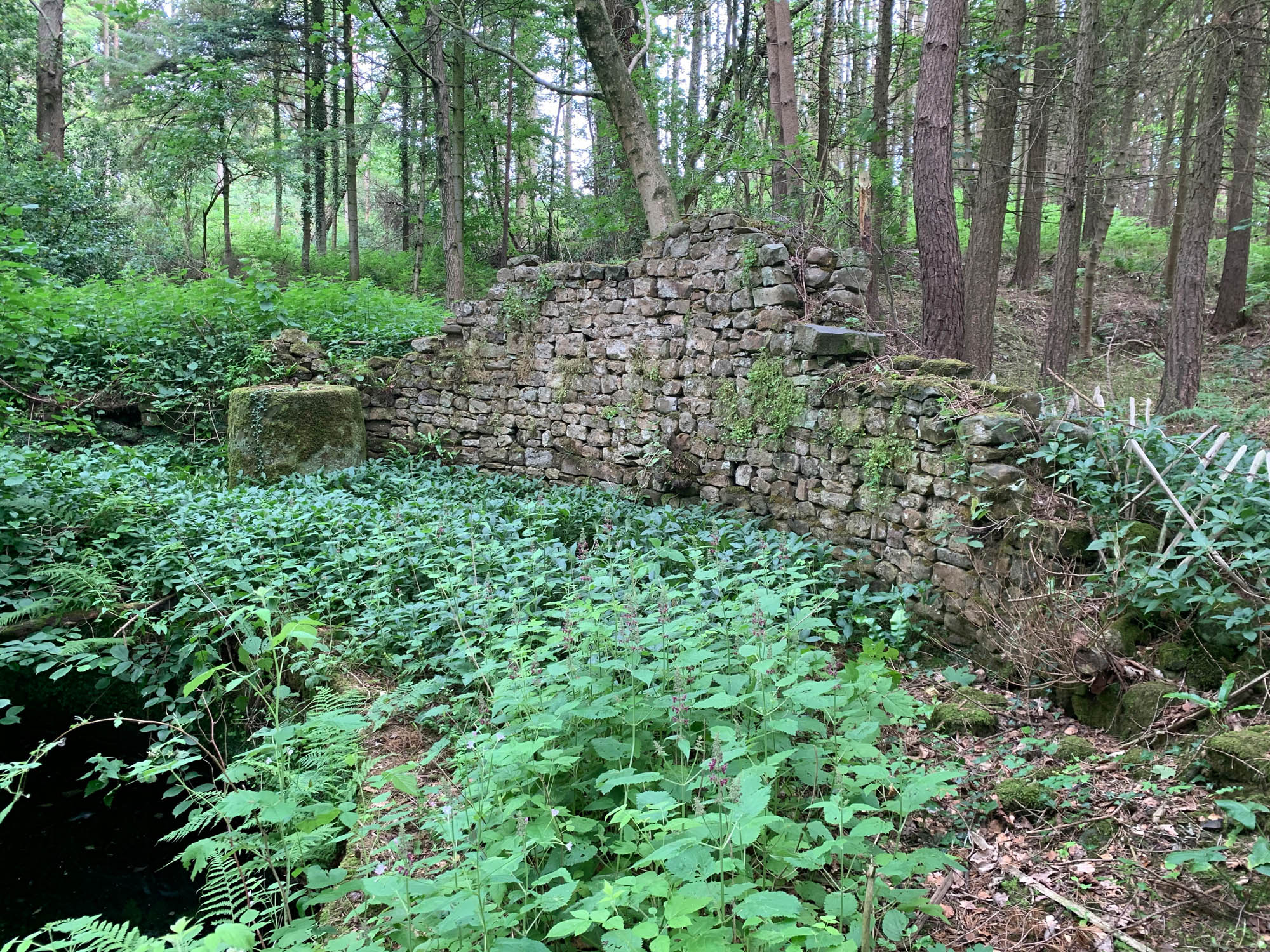 Dolphinholme Gasworks remains including the gasholder tank (bottom left), counter-weight for the gas bell and the surrounding enclosure wall.