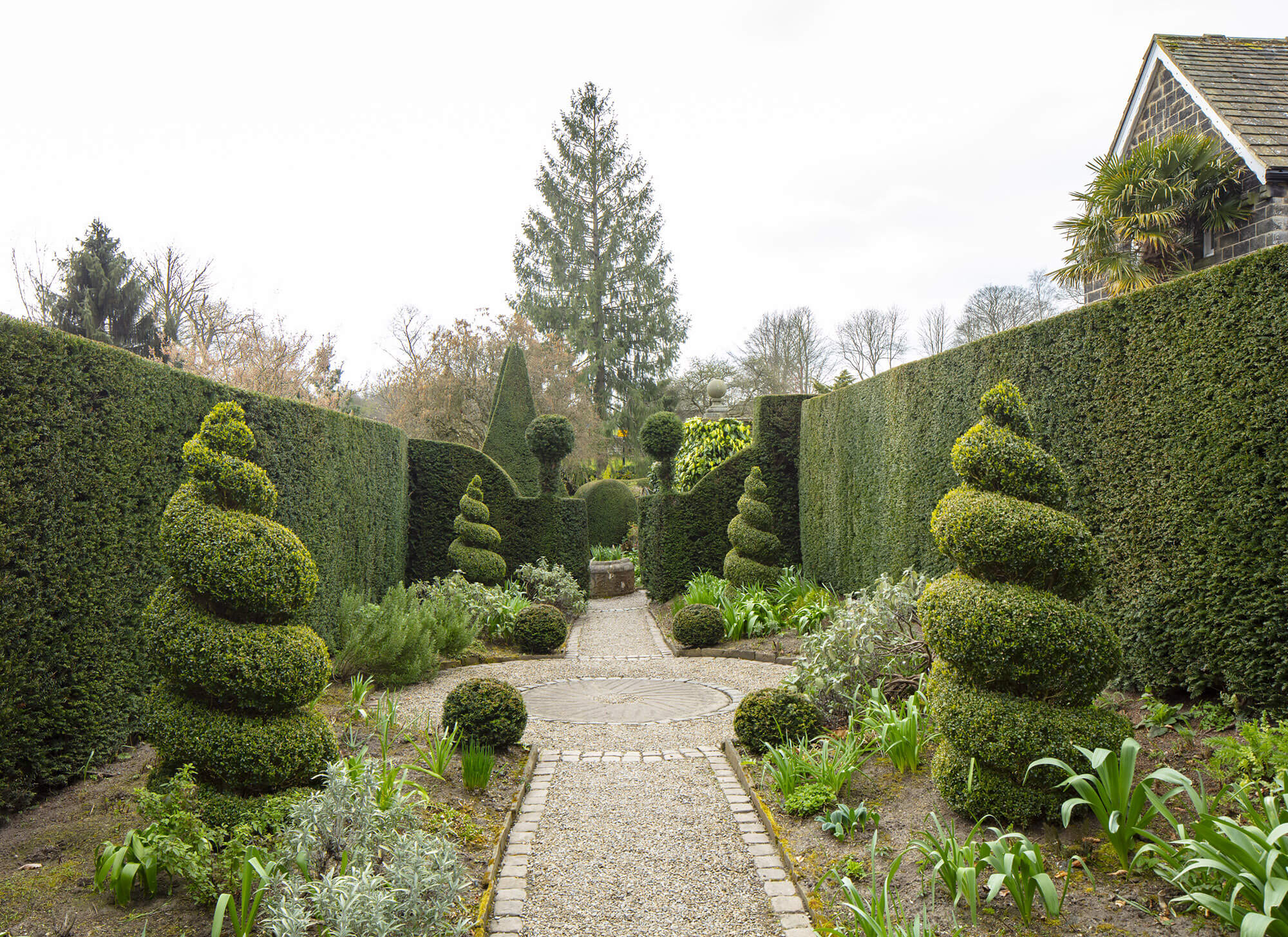 Topiary lining a path with hedging either side.