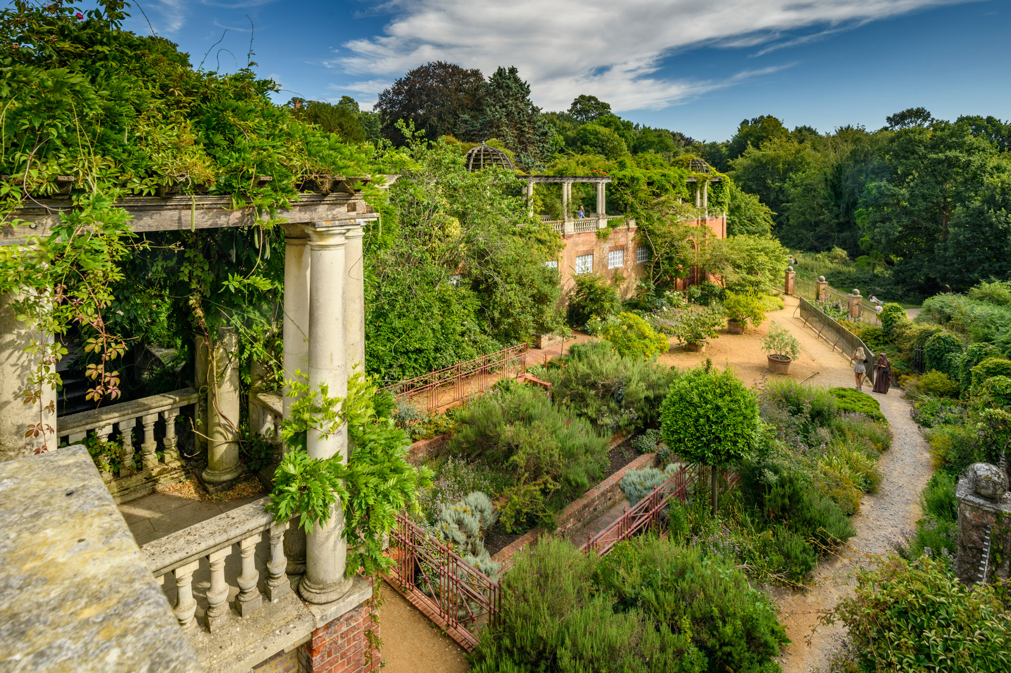 A hill garden with pathways, planting and pergola with climbing plants.