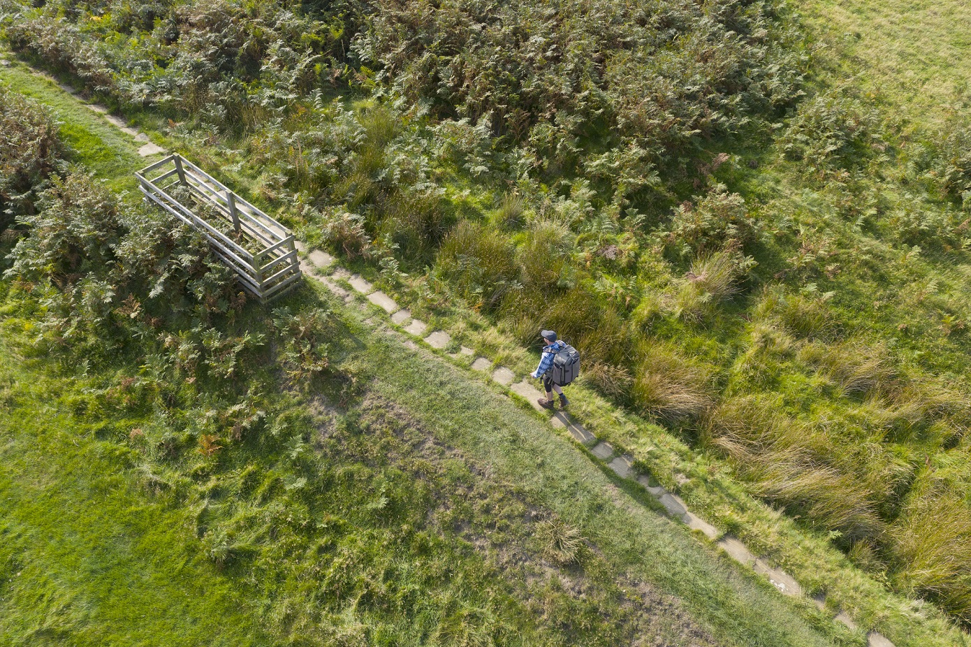 Kirby Bank Trod, North York Moors