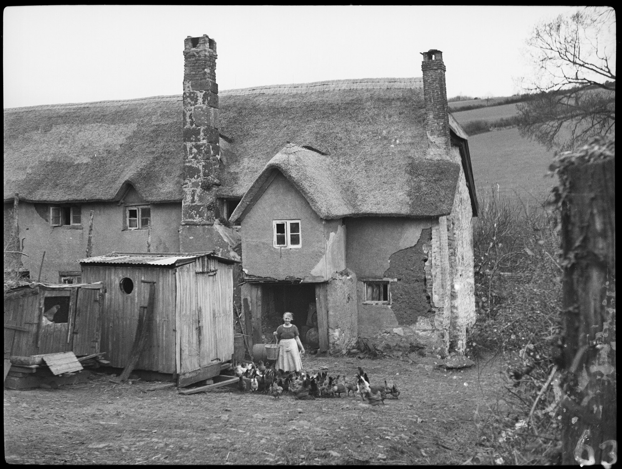 Black and white photograph of part of a rendered and thatched farmhouse. In the yard to the front, a woman holding a pail stands amongst a group of chickens. To her side is a shed or old shepherd's hut. Fields rise in the distance behind the farmhouse.