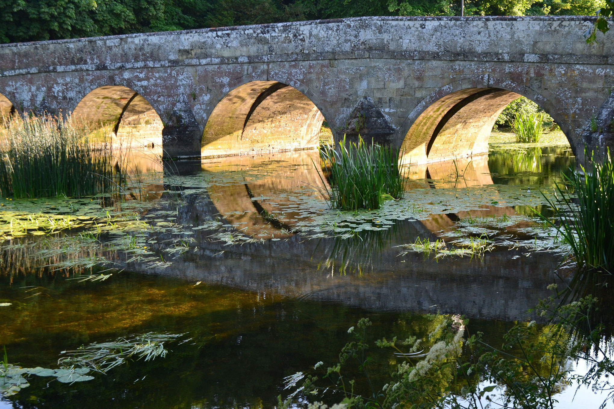 A historic stone bridge reflected in a river.