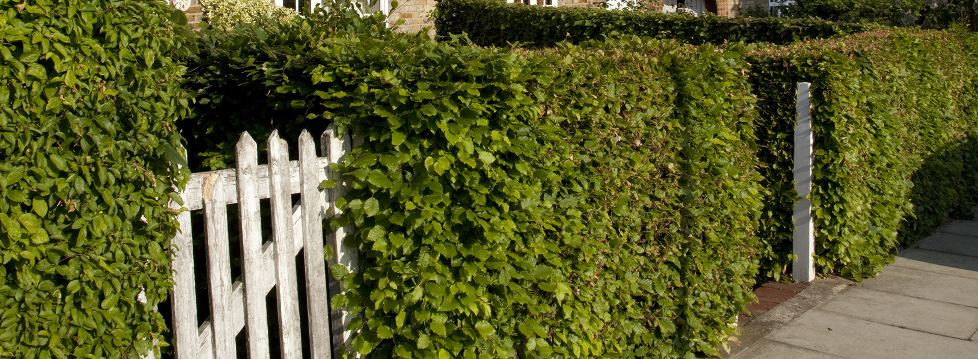 Asmuns Place, Hampstead Green