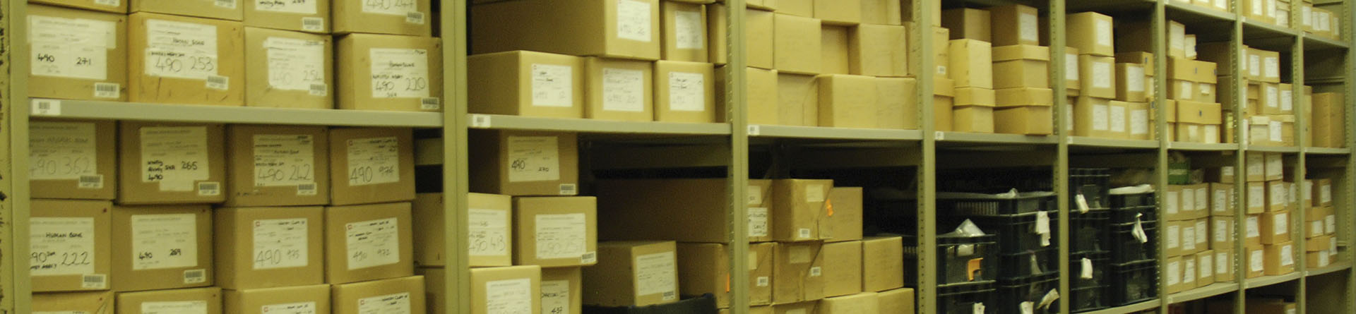 Labelled archive boxes on shelves within an archives store