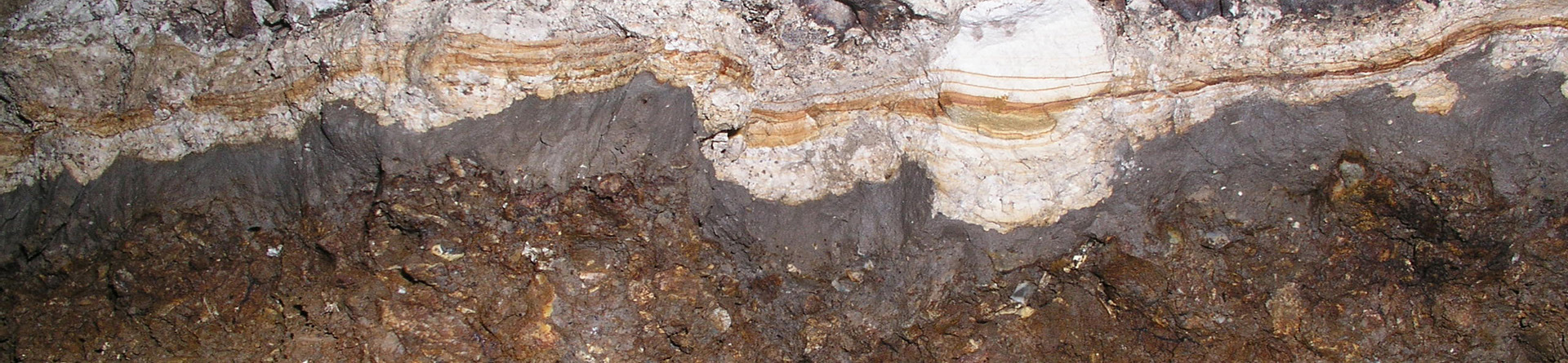 Photograph of the old land surface found beneath Silbury Hill, Wiltshire