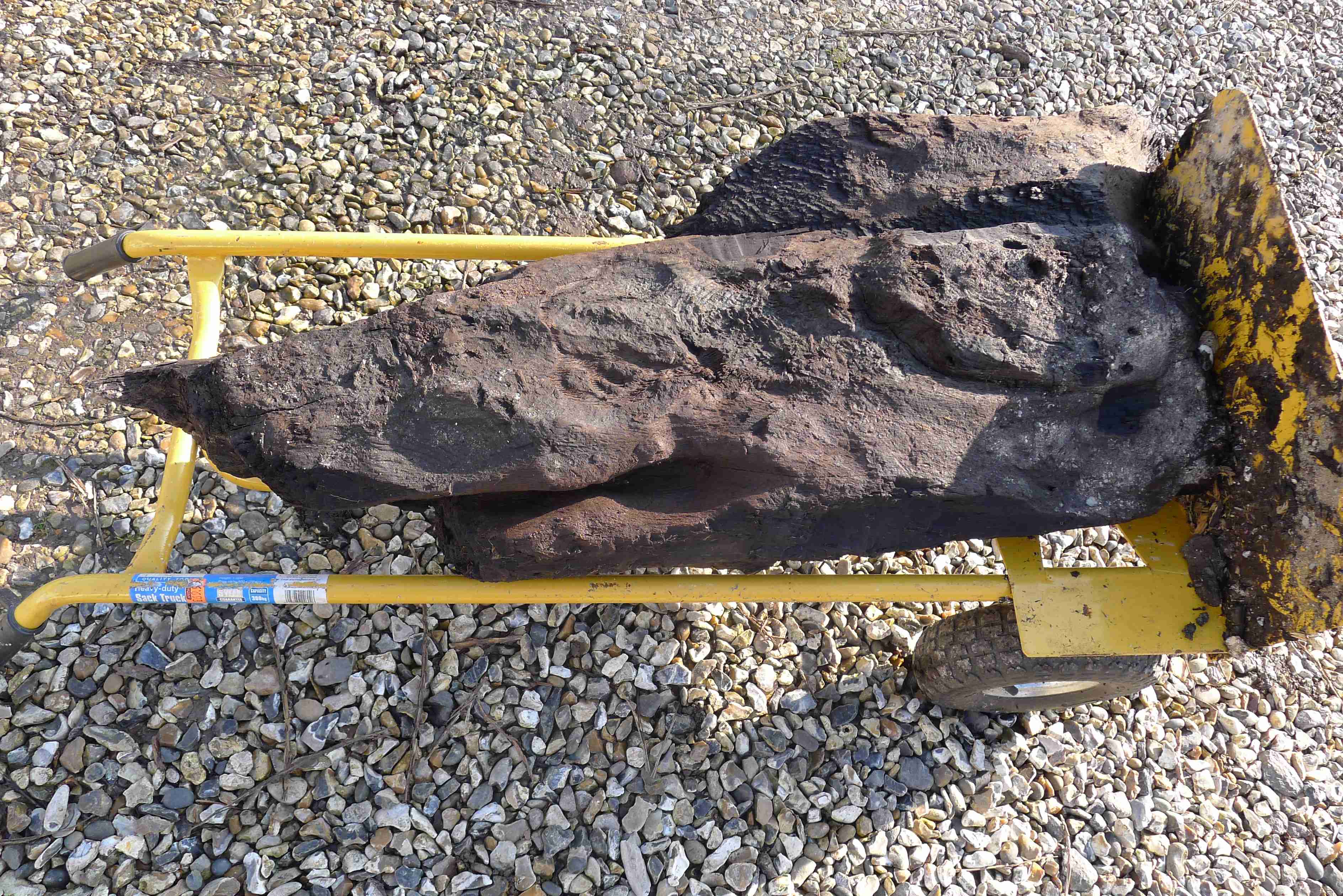A close-up image of a specimen of ancient carved wood on a yellow loader trolley.