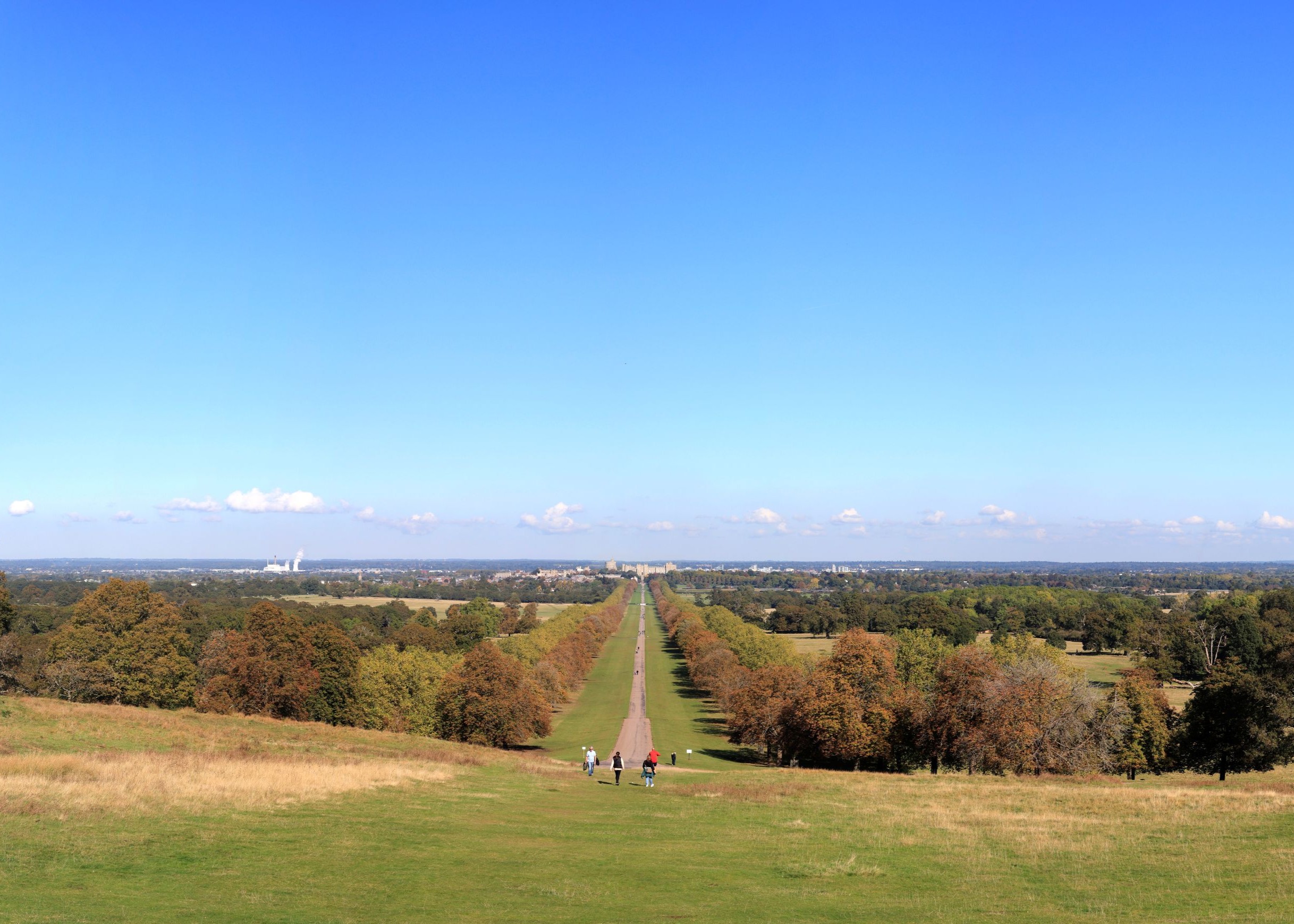 Landscape with trees and a central pathway leading to a castle