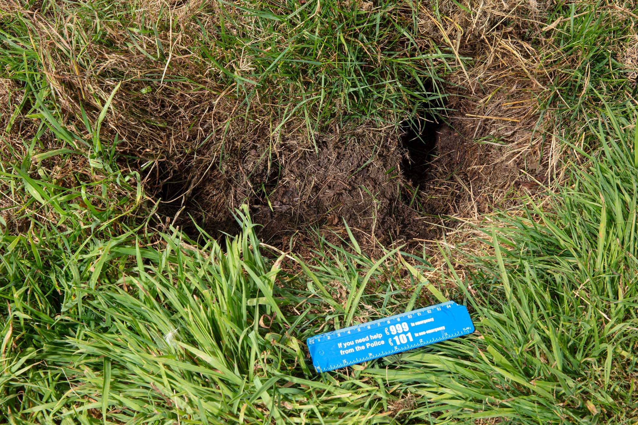 Damage to grass marked by a police ruler