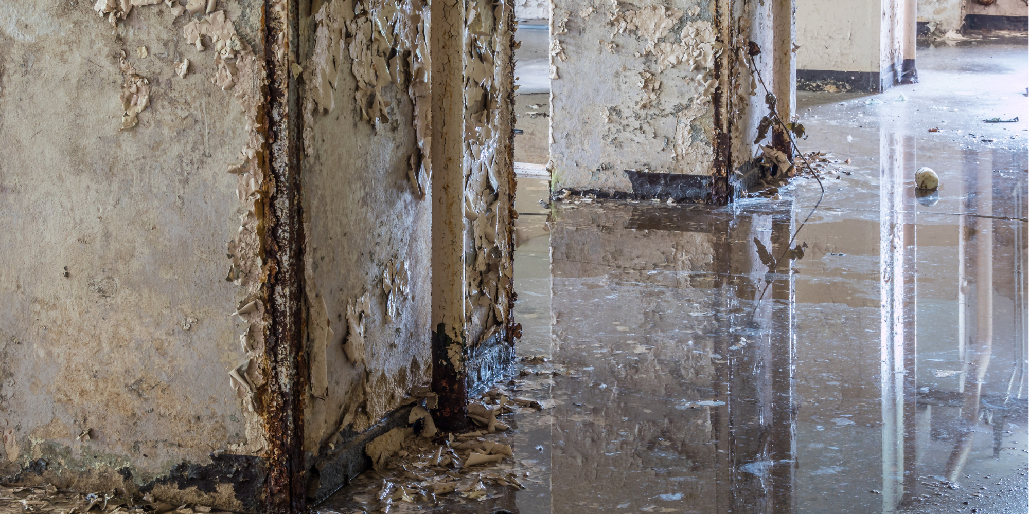 A close-up photo of a flooded building, with peeling paint falling from columns and floating in the puddles.