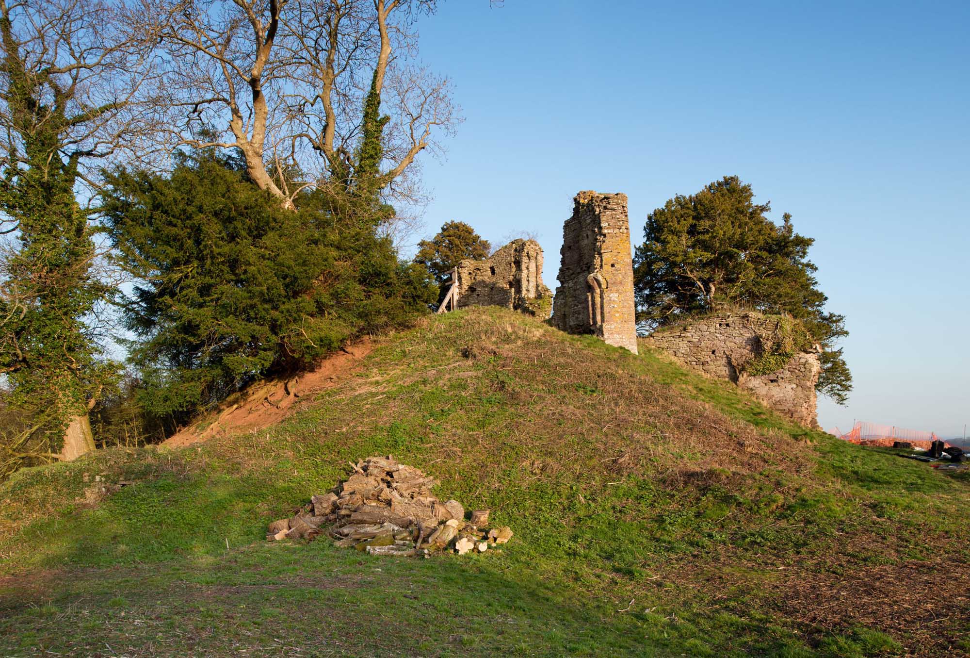 View of a ruined motte and bailley castle partly overgrown with trees.
