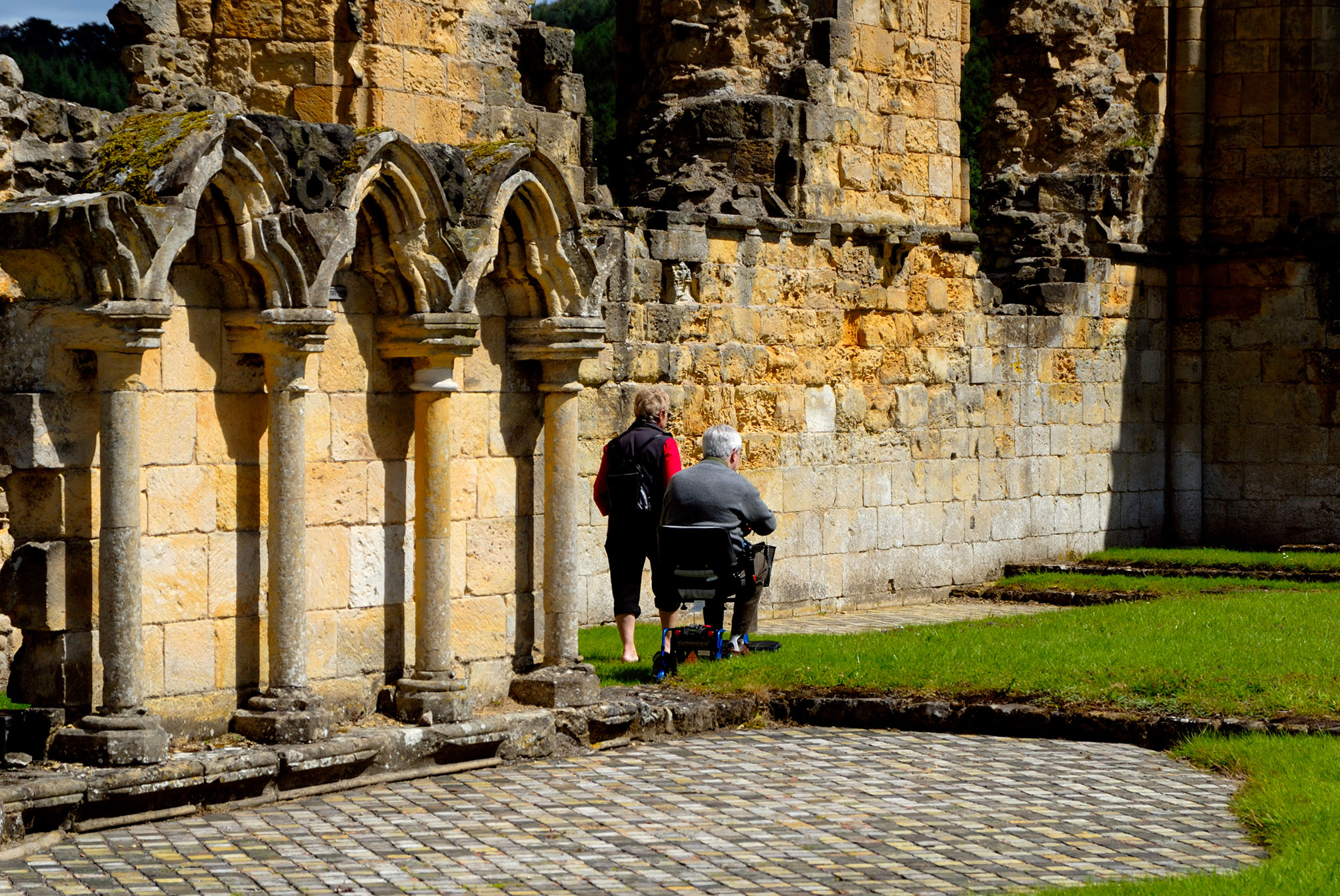 Back profiles of a wheelchair user and companion in church ruins