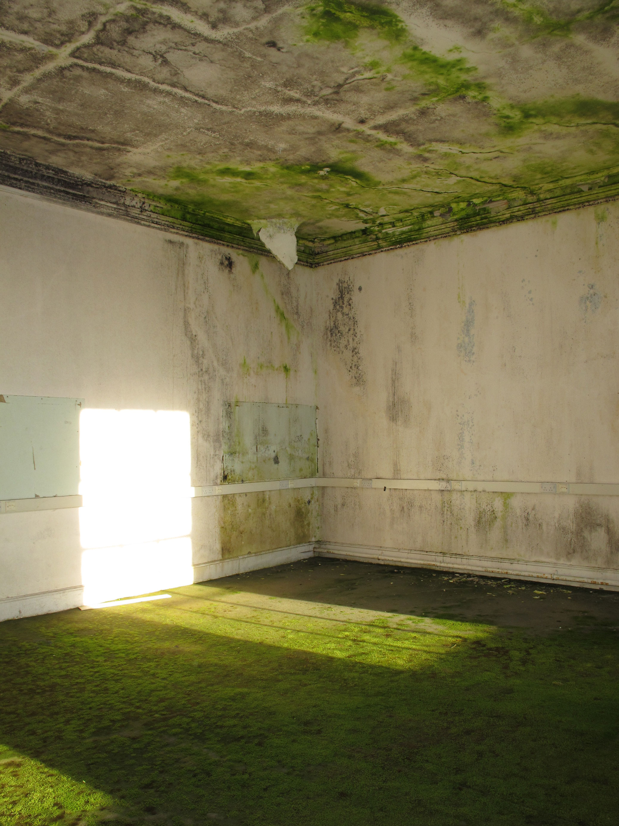 Interior view of a bare roof suffering from damp.