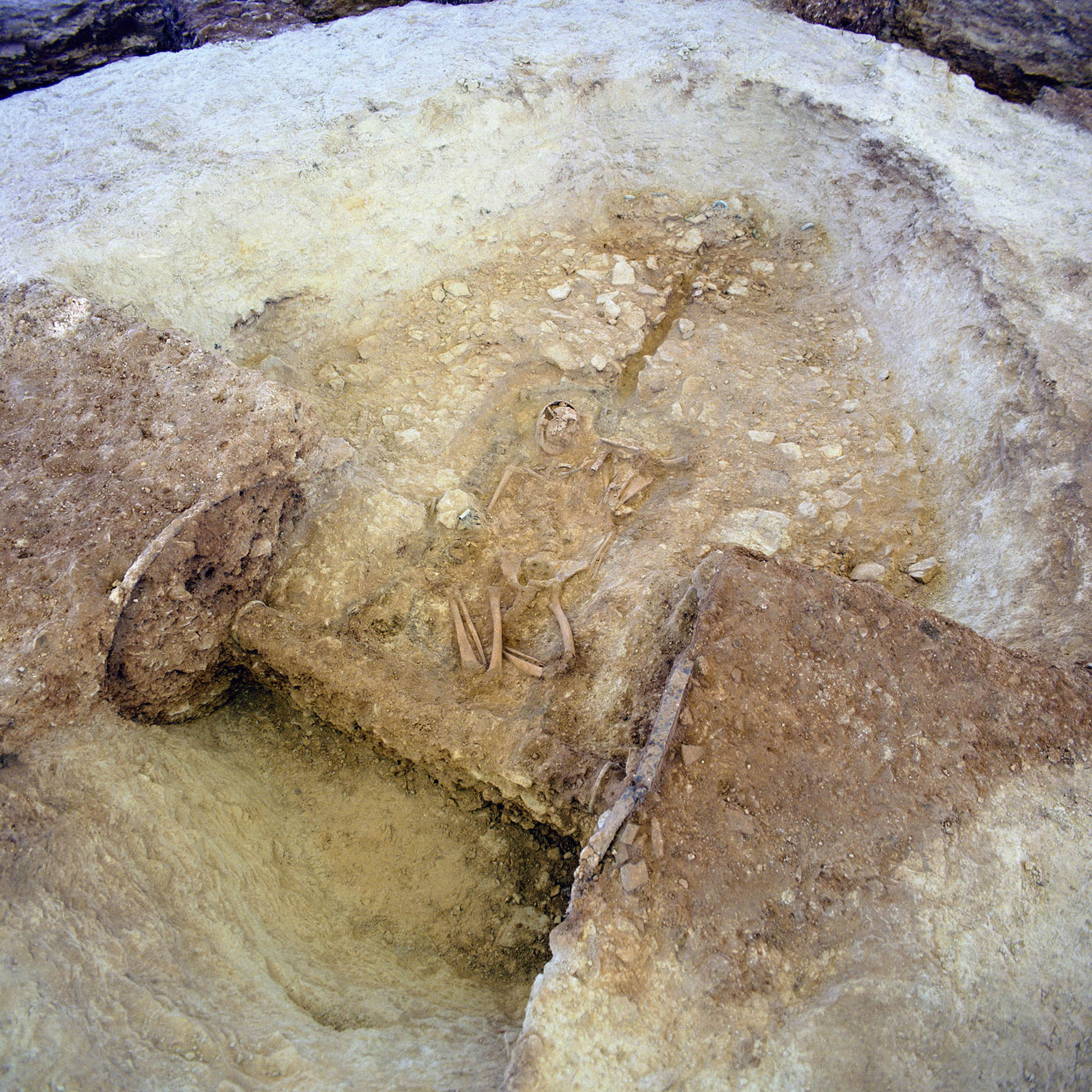Holmfield Iron Age Chariot