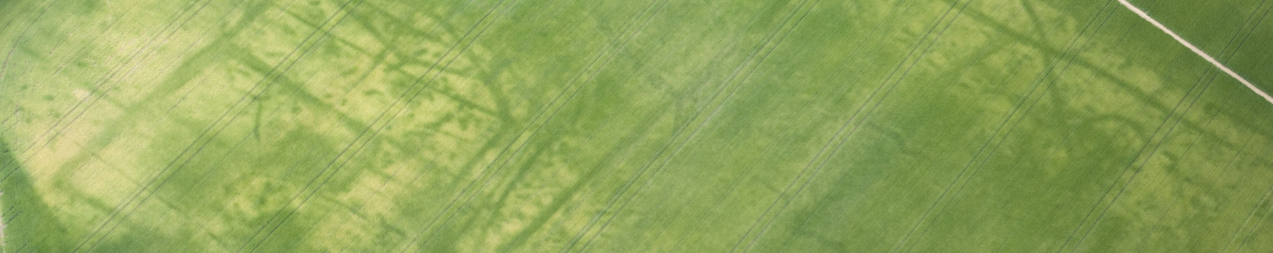 Cropmarks on the East London Gravels, Havering