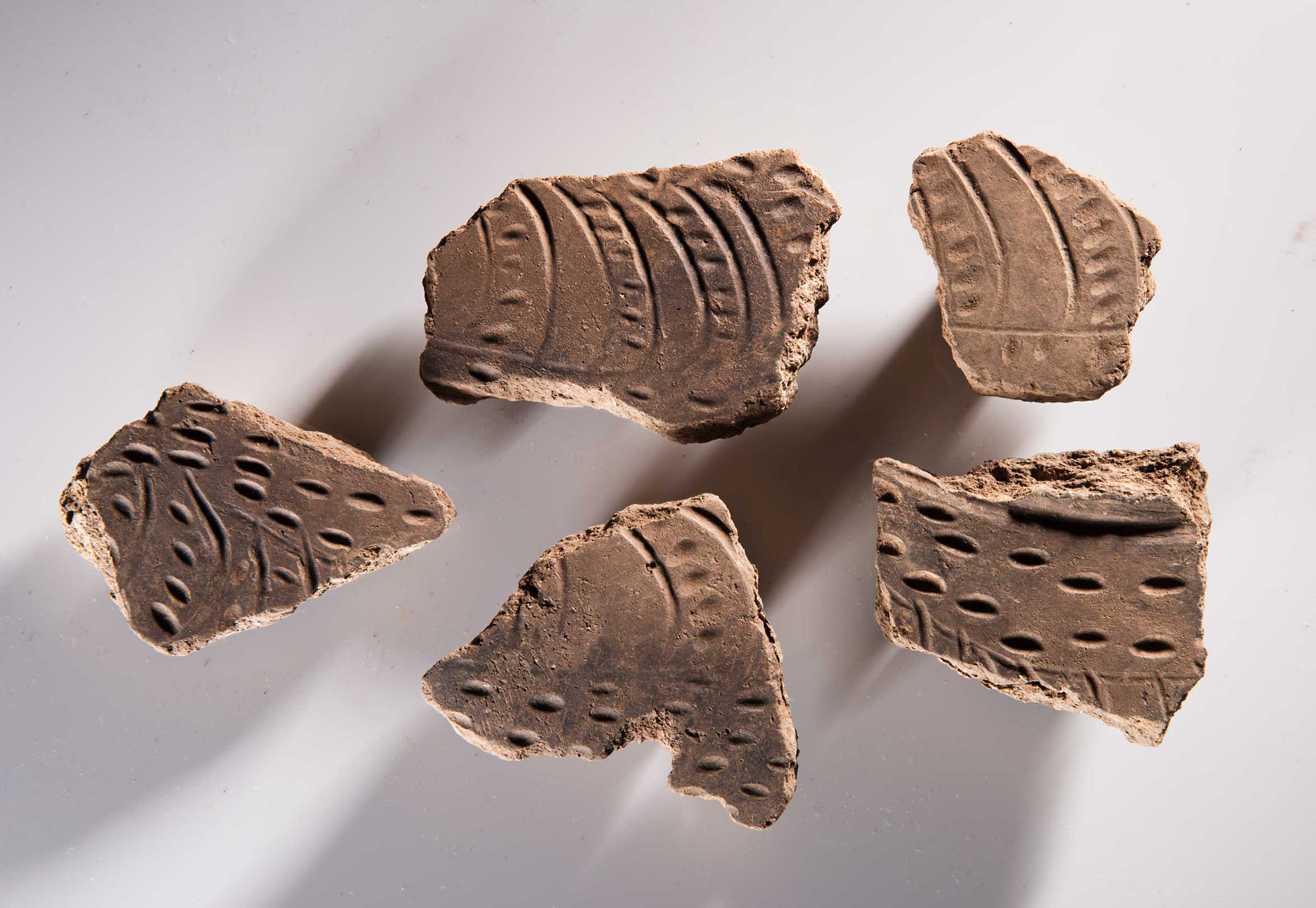 Fragments of a decorated jar