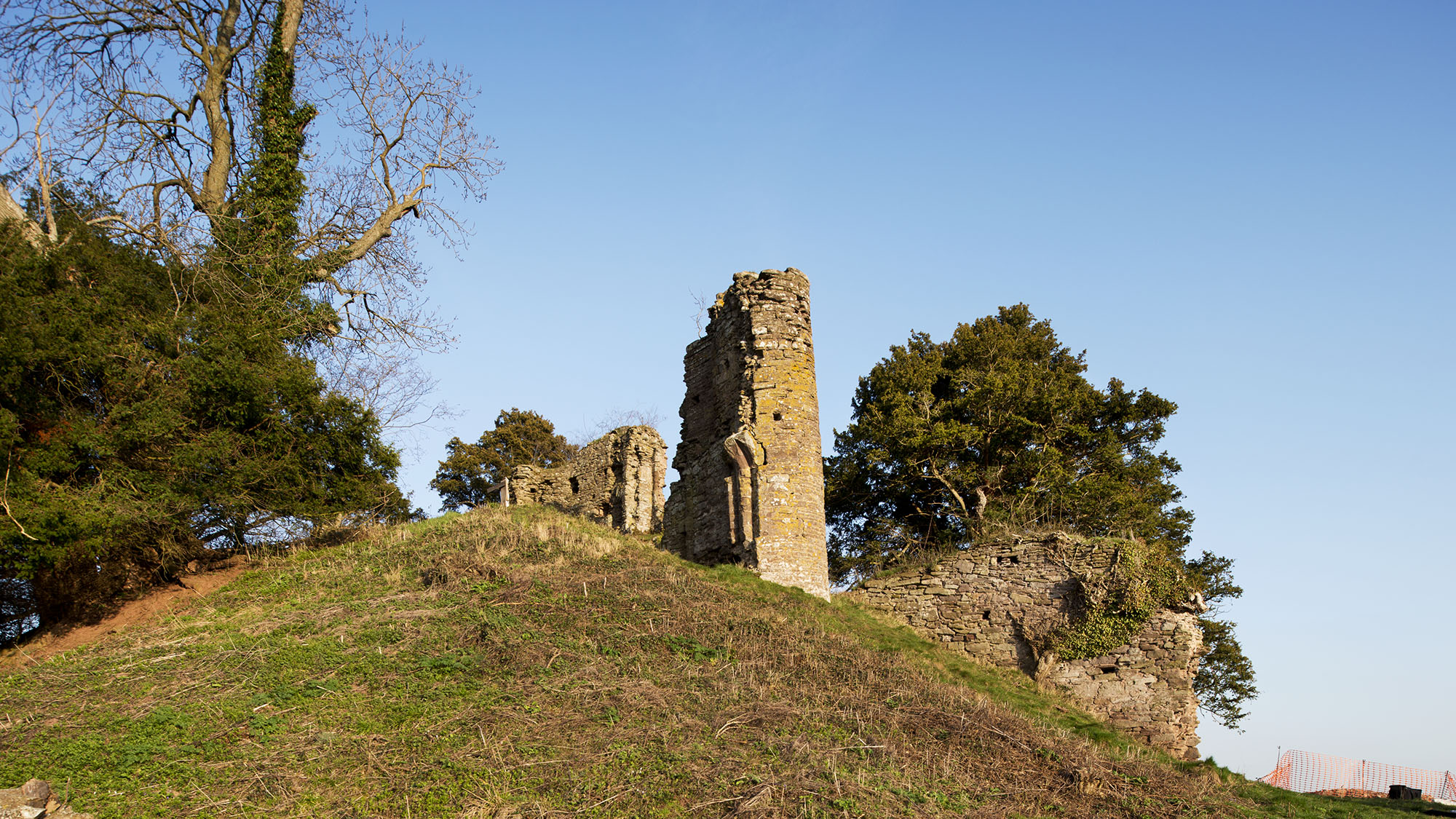 Snodhill Castle - general view of motte and keep from the north west