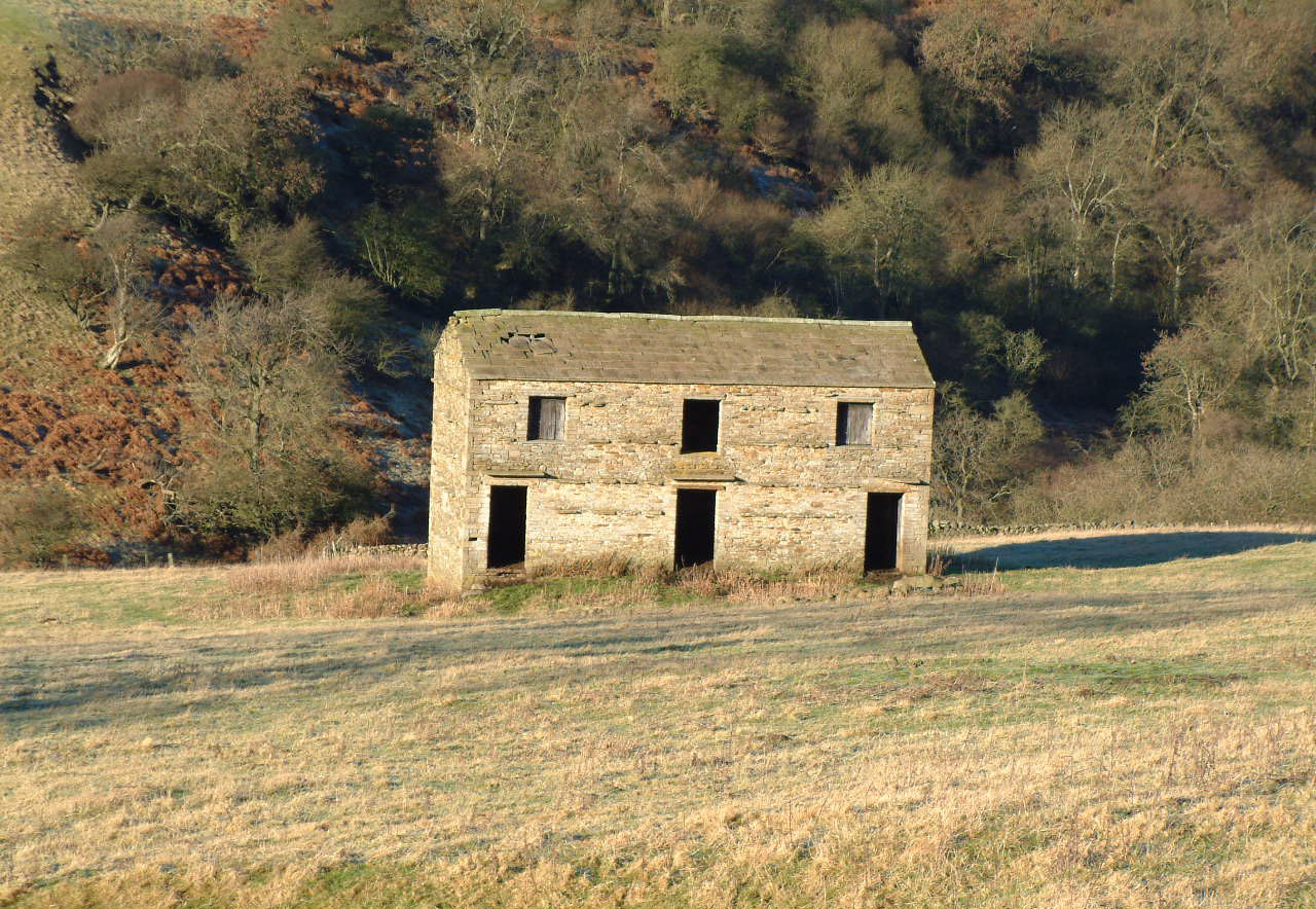 Derelict farm building in the middle of a meadow with bare winter woodland in the  background.