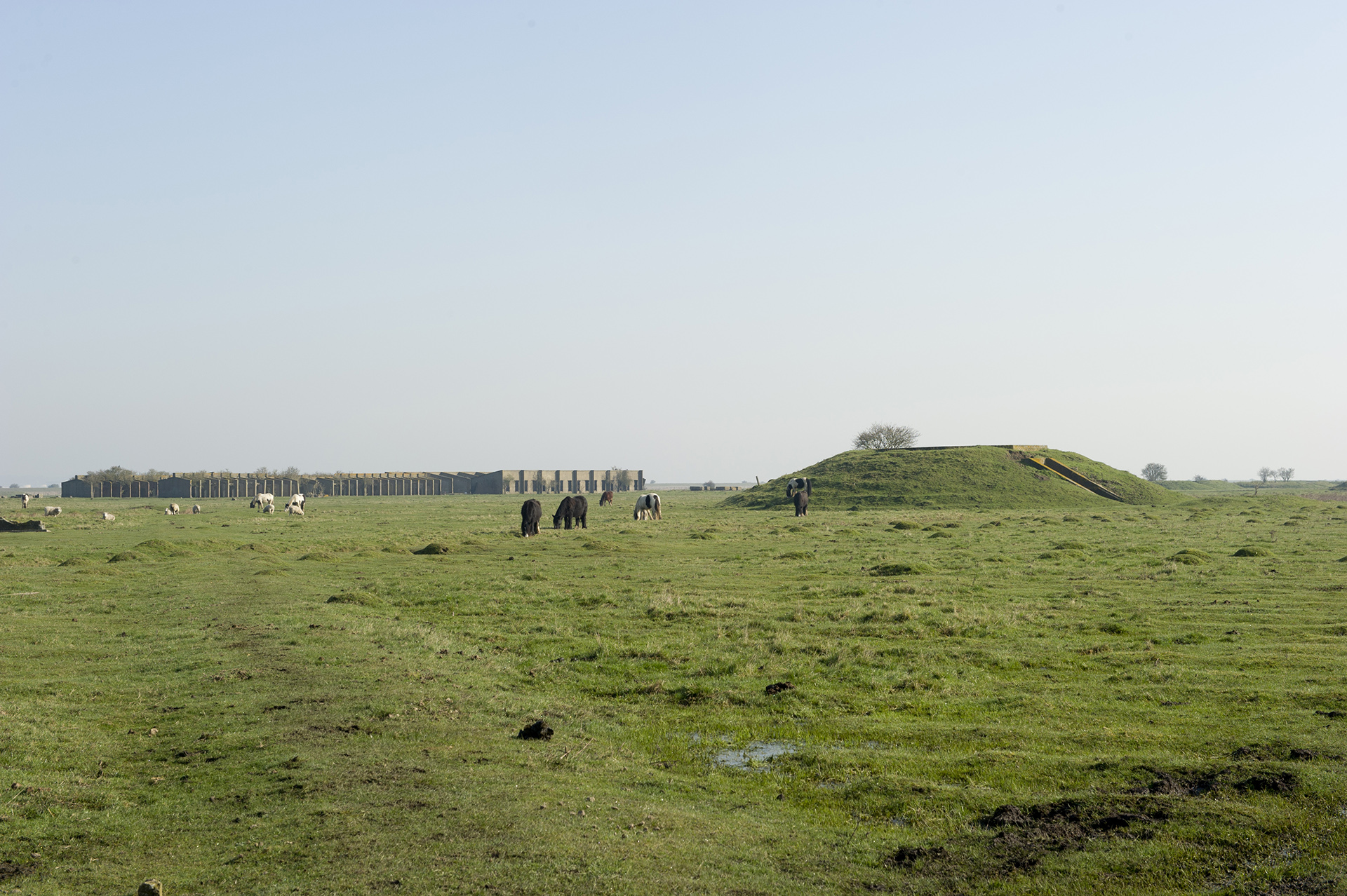 Cliffe explosives works, Medway, a low earthwork mound that surrounded a nitroglycerine manufacturing plant and beyond single storey, reinforced concrete solvent recovery stoves.