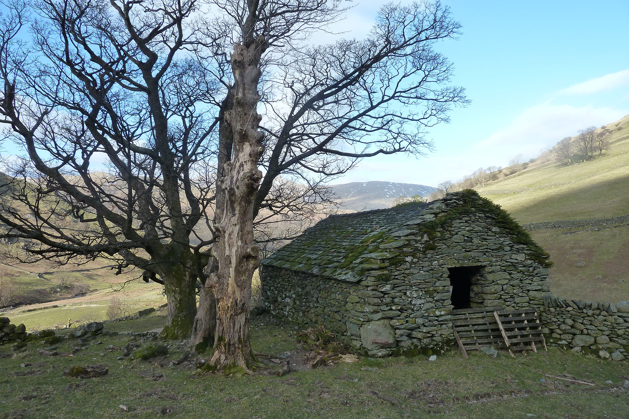 View of Hoghouse, trees and hillside in Hartsop, Cumbria.