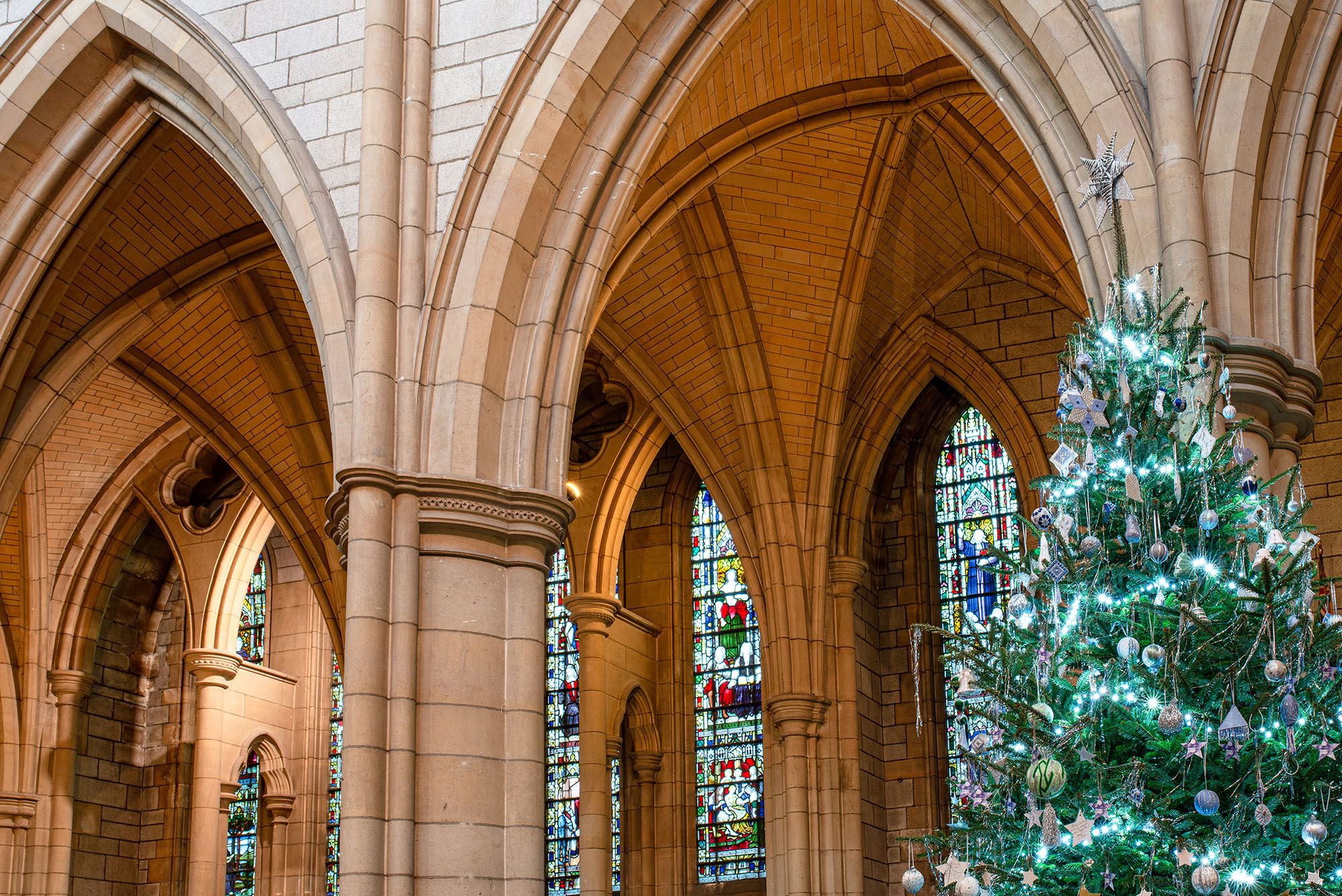 A photograph of the tops of some of Truro Cathedral's pointed arches, with stained glass windows in the background. In the foreground, to the right hand side, there is a Christmas tree.