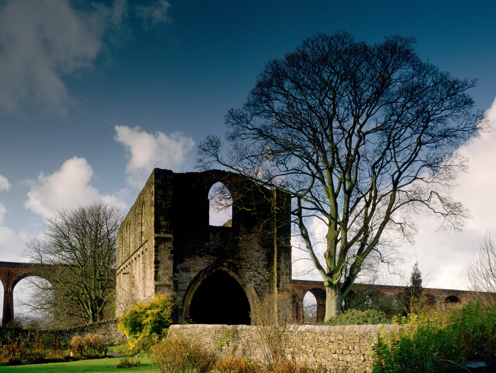 The image features a historic stone ruin surrounded by trees, with a dramatic sky above. An arched opening and remnants of a bridge add to the scene's charm