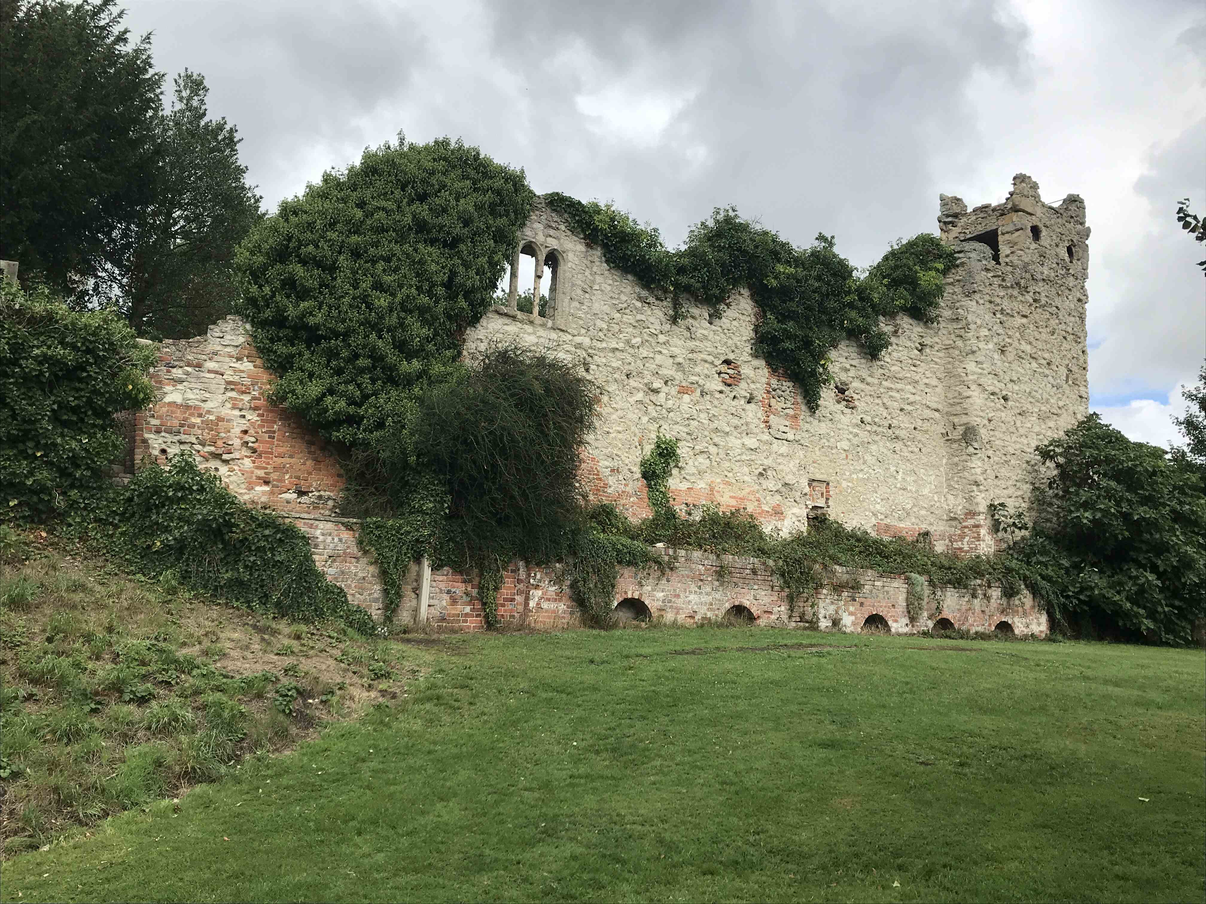 Stone wall remains covered with vegetation