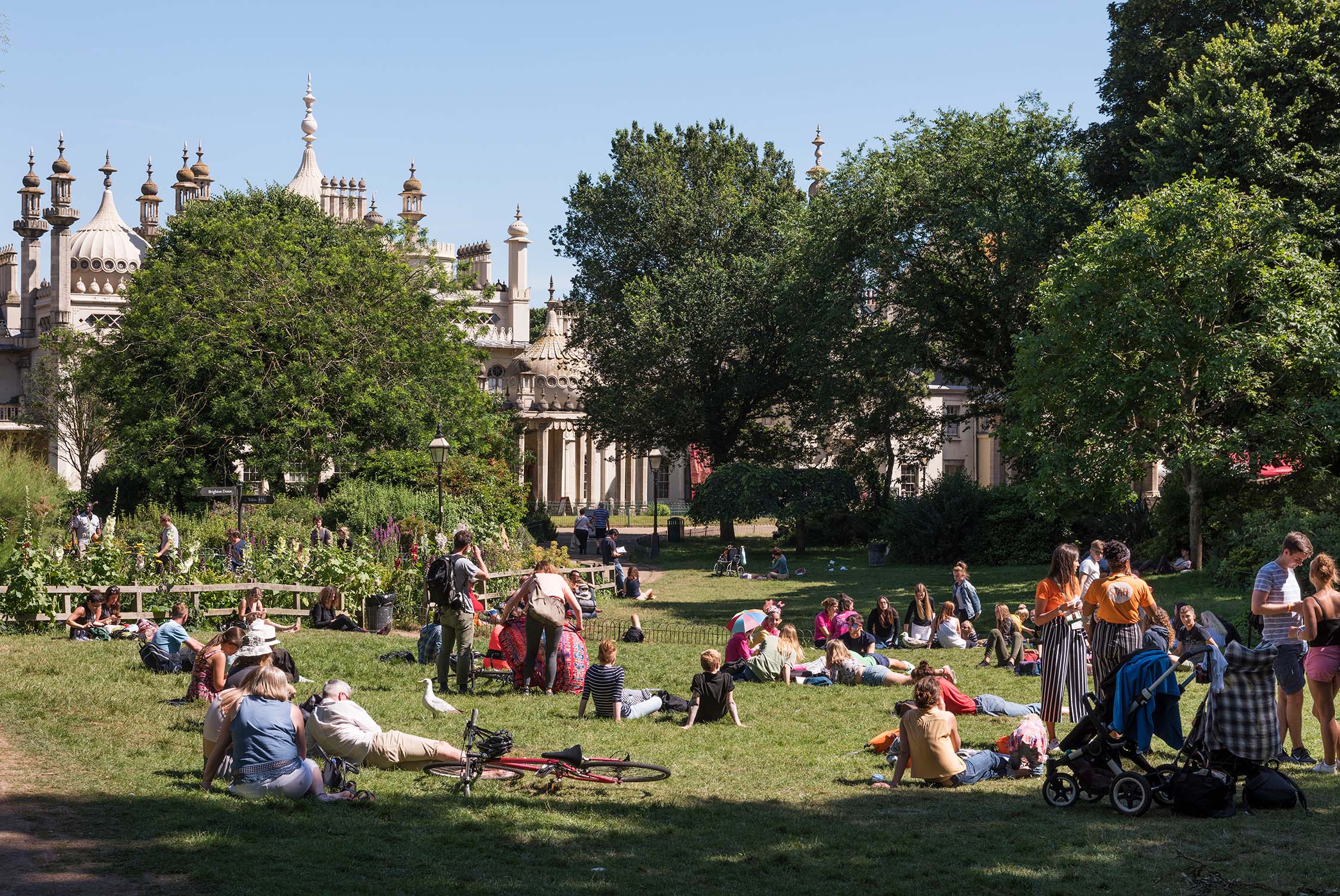 Multiple groups of people sat in a park lined with trees as they enjoy the sunshine.