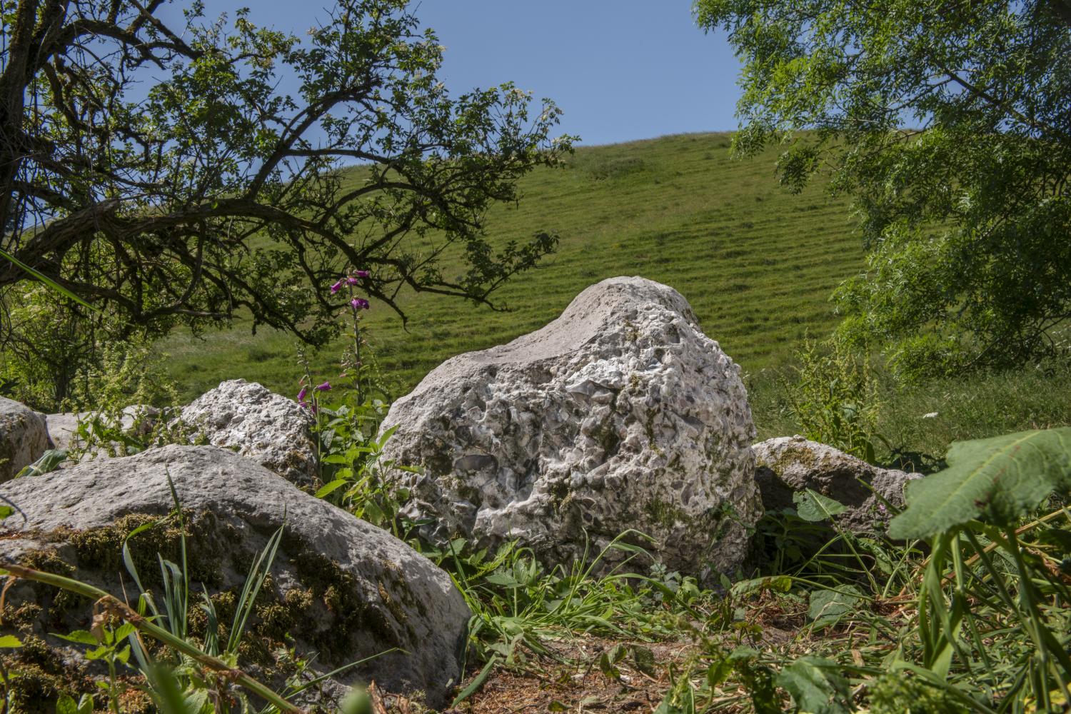 A photograph of a stone boulder in a field. The boulder has a scoop-shaped profile on one side resulting from its use as a polishing stone for Stone Age axe-heads.
