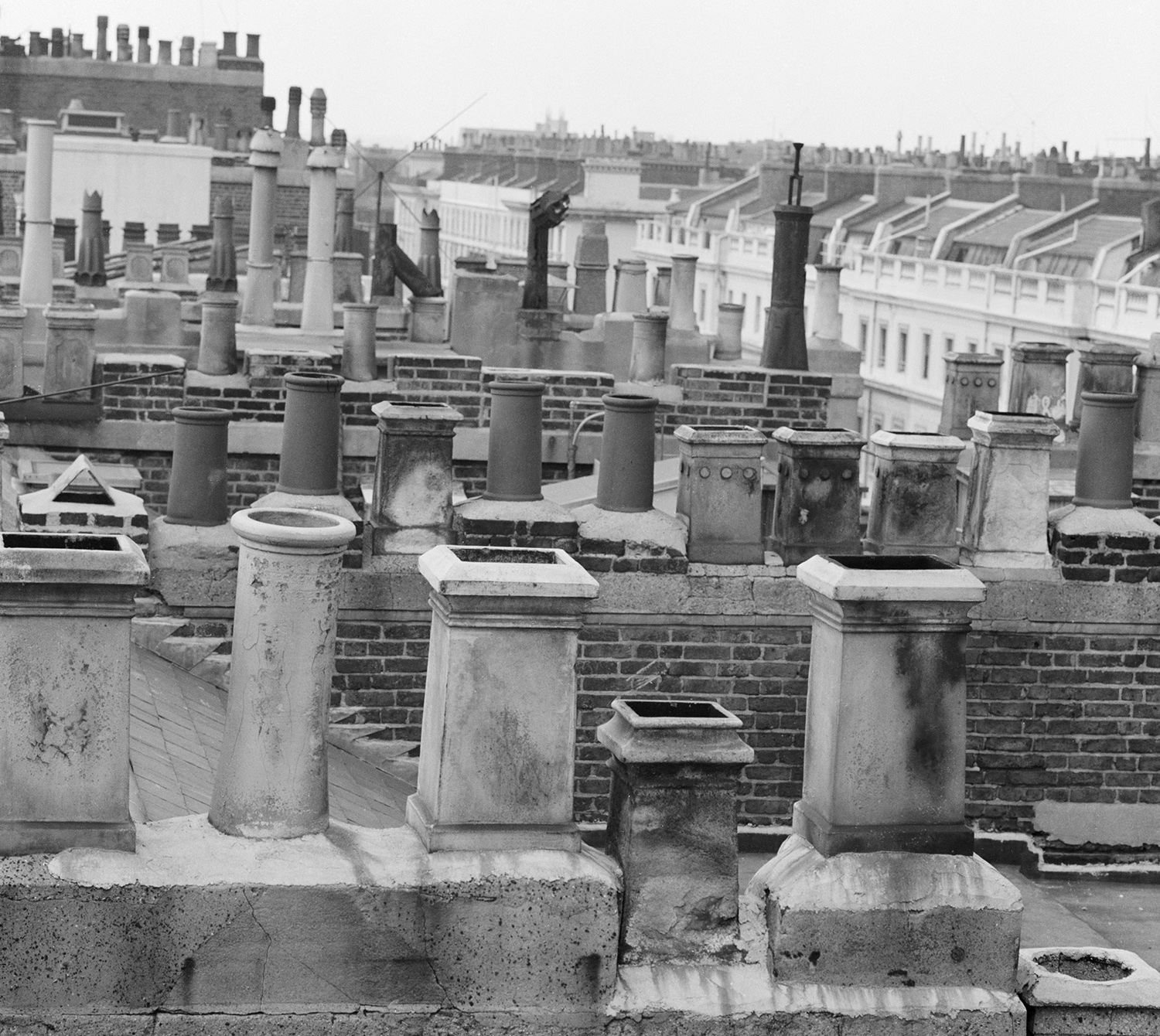 Black and white photo showing rows of chimneys on roofs.