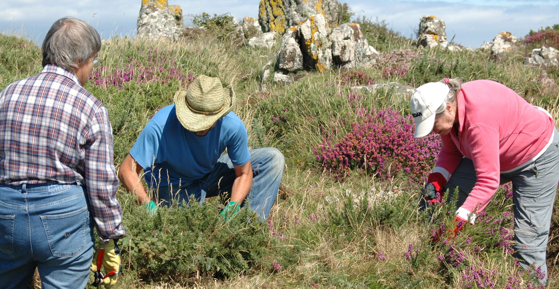Alt text: A group of people clearing scrub from around a prehistoric stone setting.
