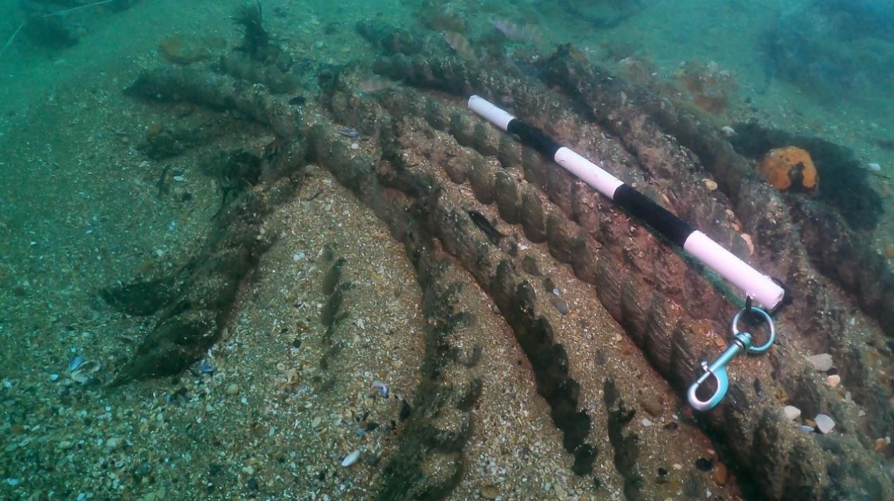 An image of well-preserved rope underwater from the Northumberland shipwreck. There is a black and white pole 