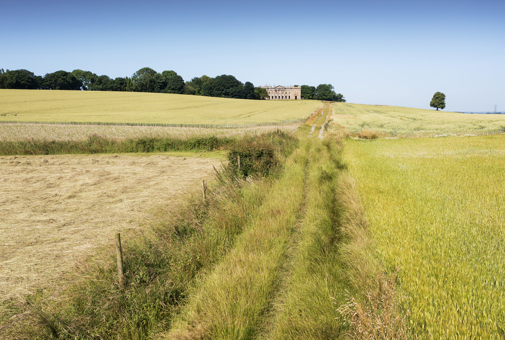 A path through fields towards a mansion house set amongst trees.