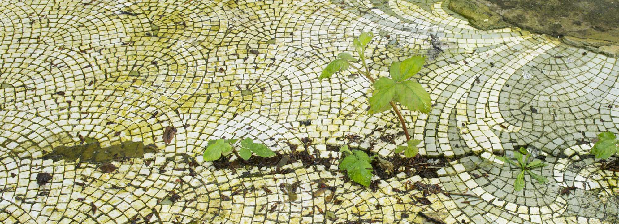 Details of paving stones in the grounds of a building at risk