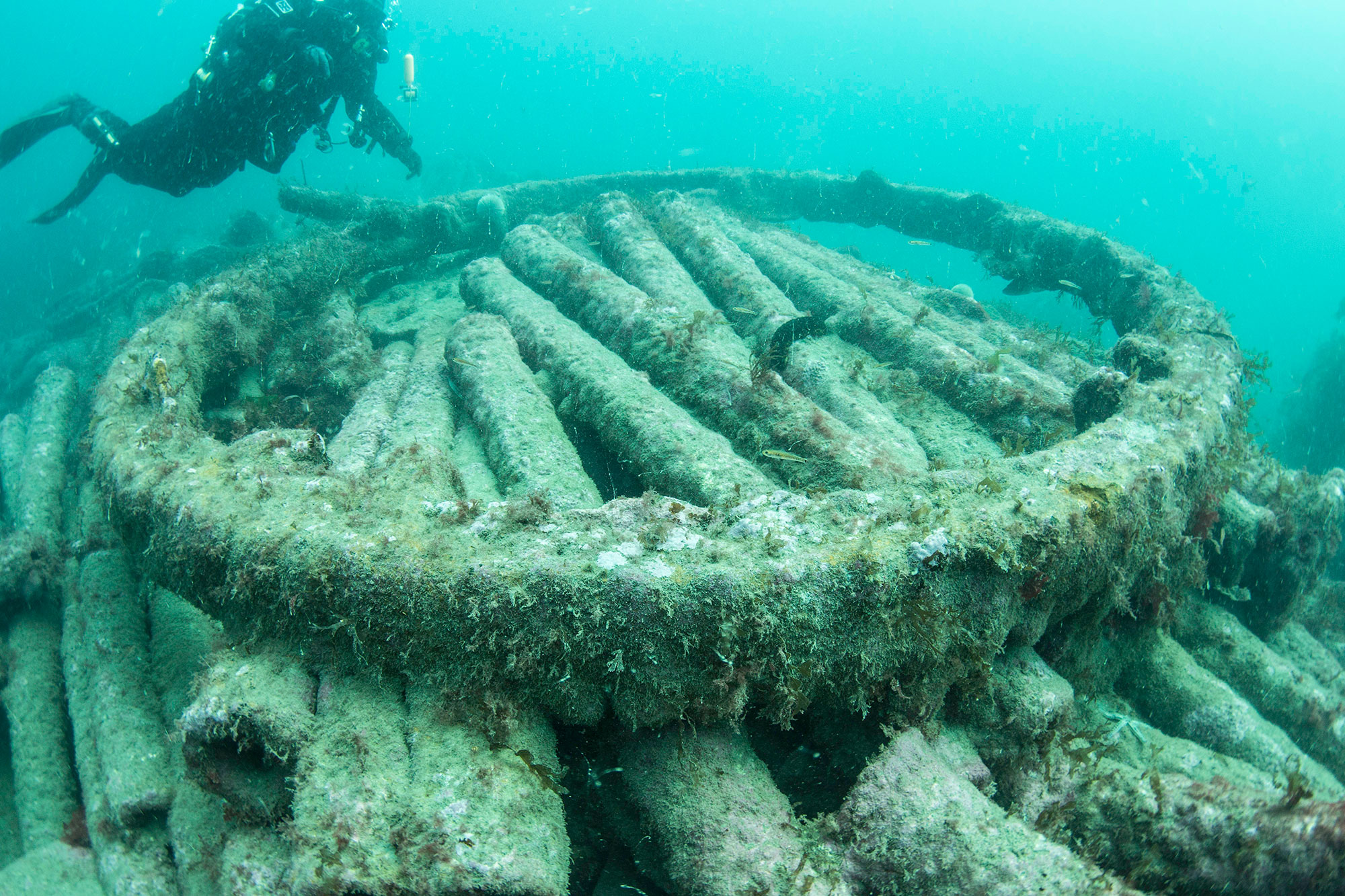 A large circular structure under water and a diver examining it.