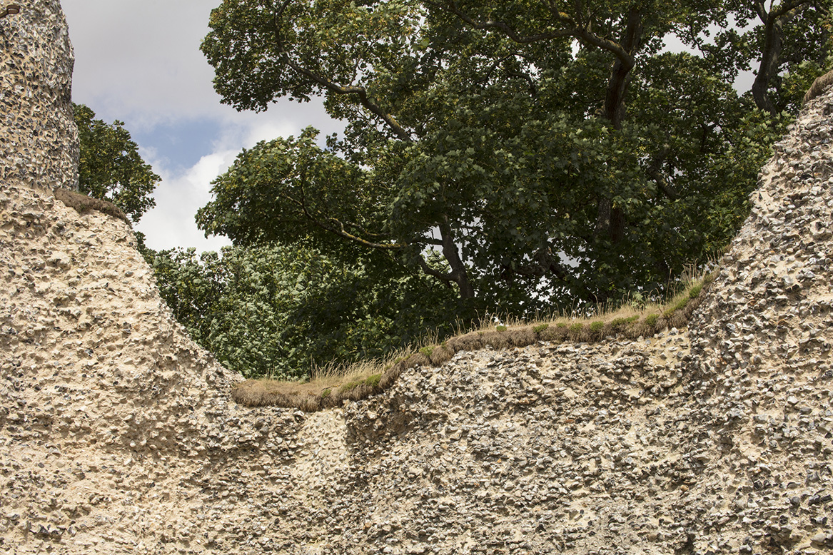 View of a grassy top on a rubble wall with trees in the background.