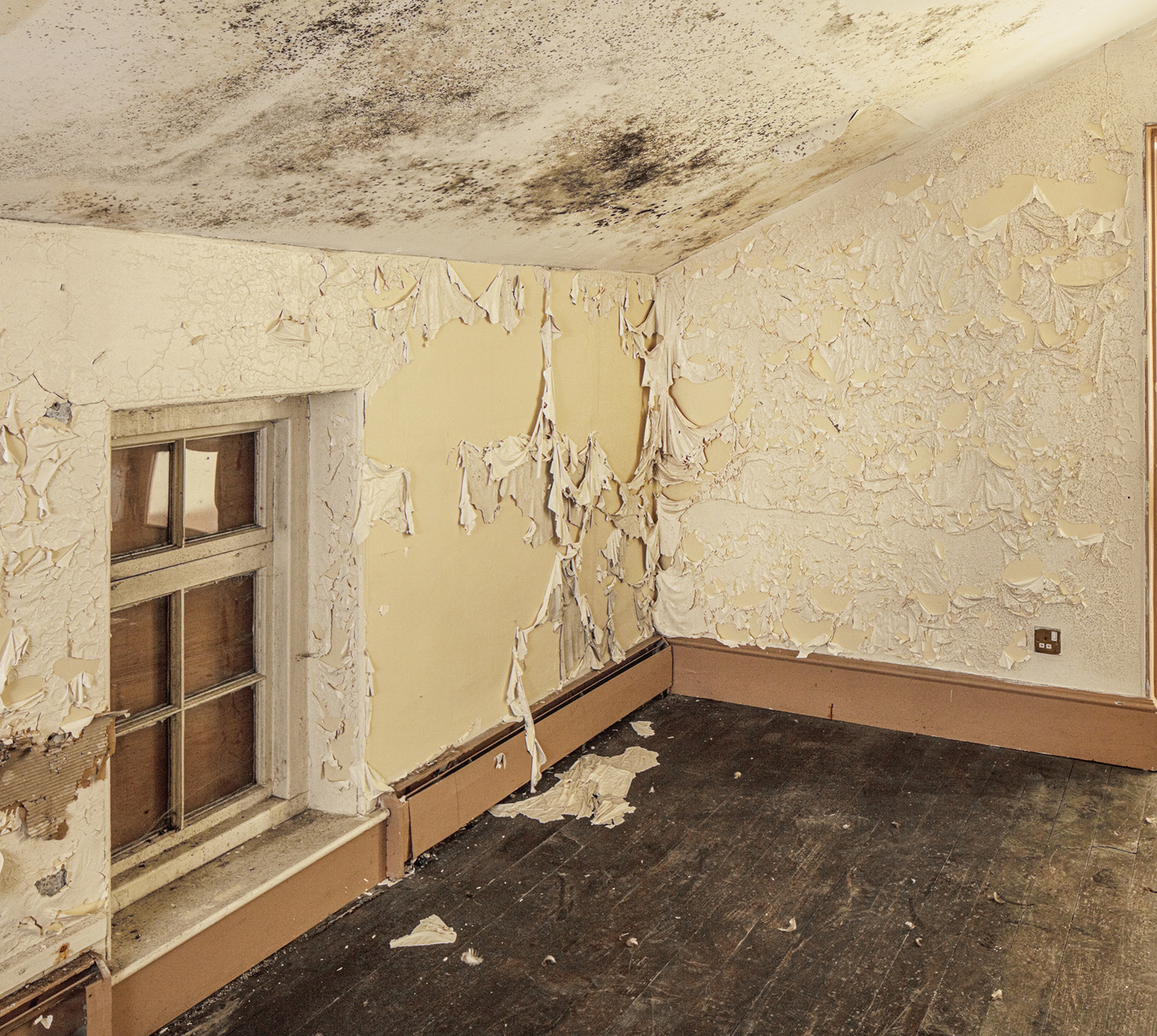 Paint peeling off a wall and black mouold on a sloping ceiling