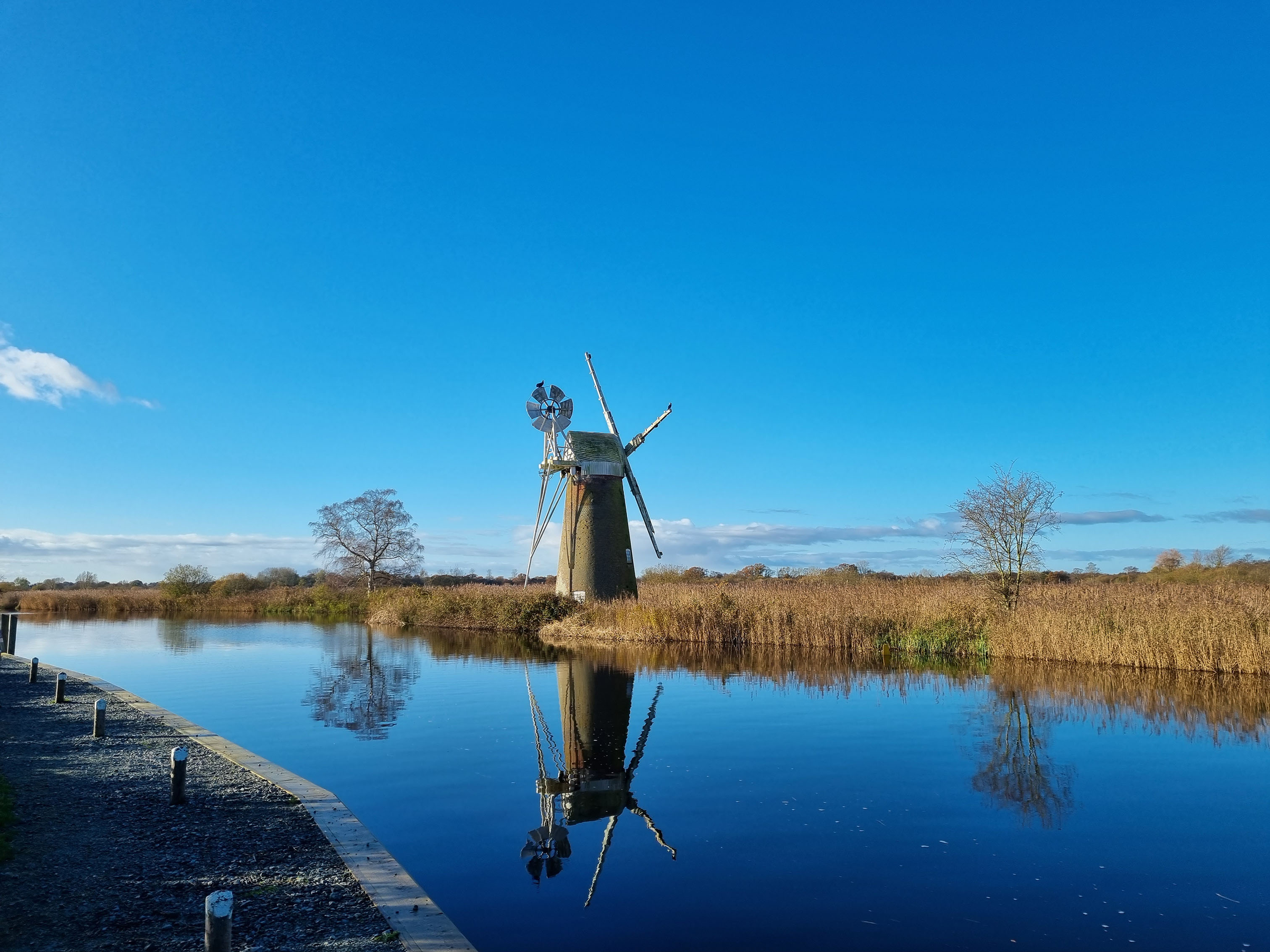 The Mill is shown within the reeds with the river to the fore