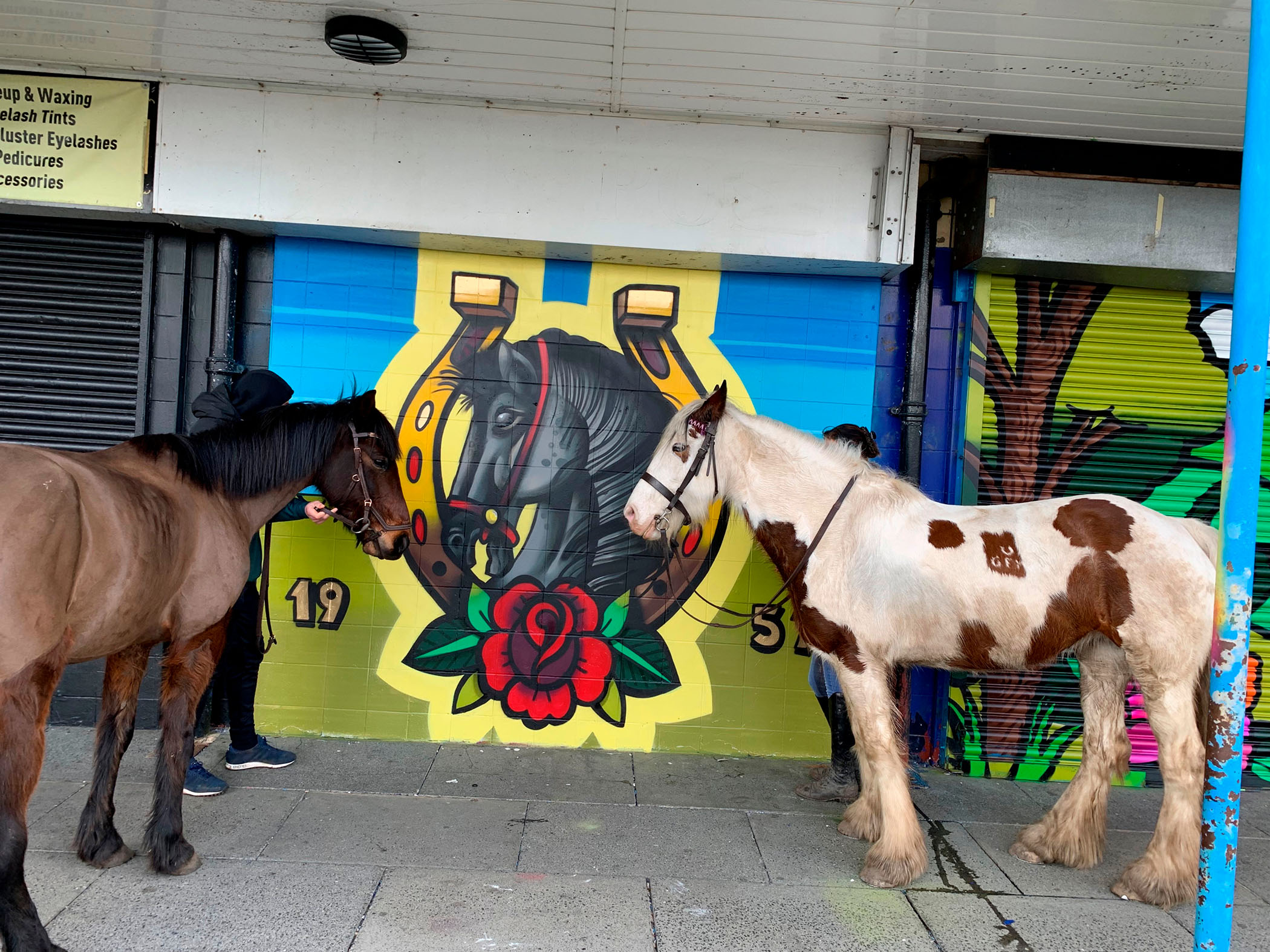 Two horses stood in front of a colourful mural of a horse in the centre of a horseshoe