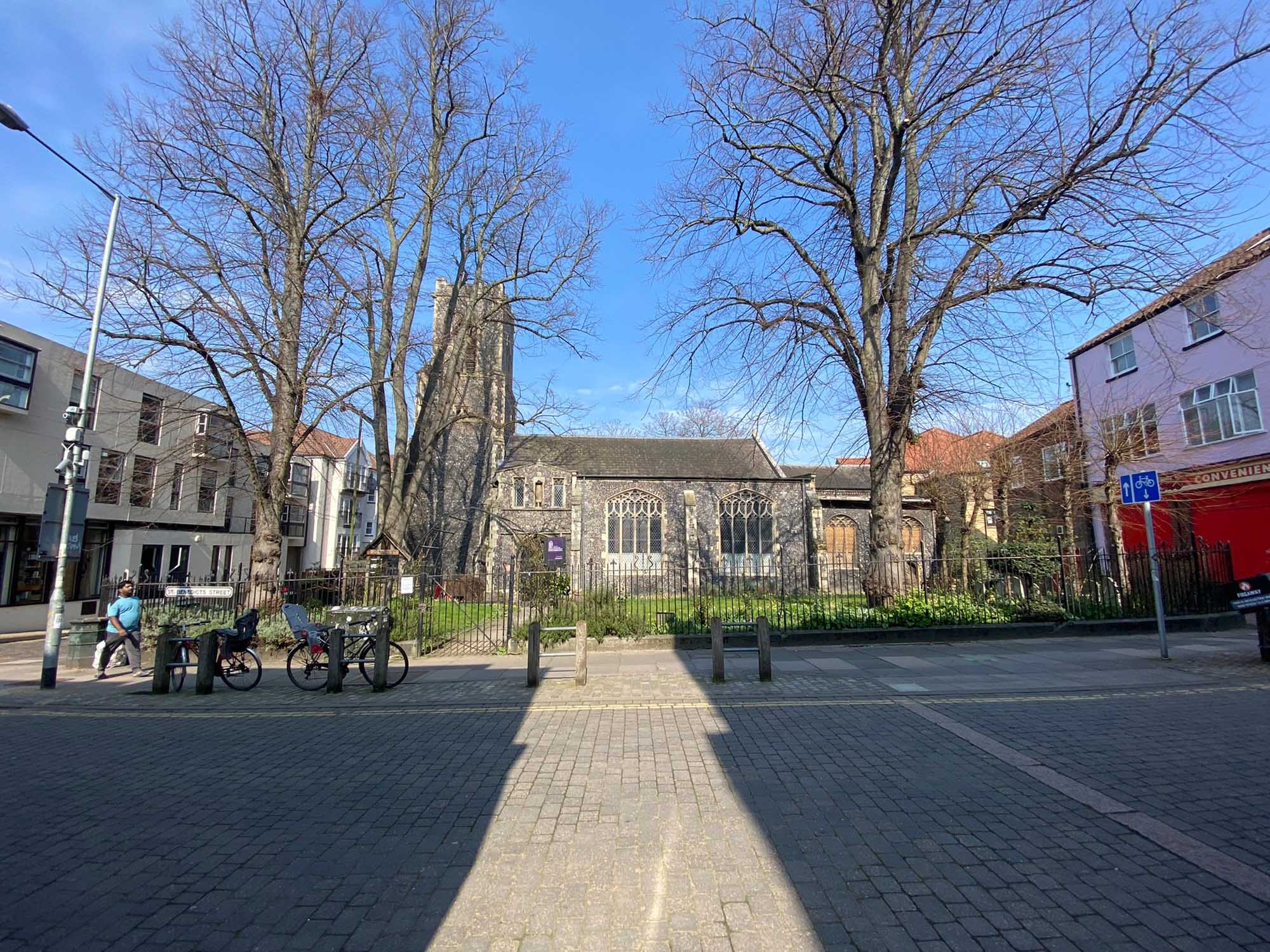 A view from across the street showing the south side of St Margaret de Westwick Church bathed in sunlight. The building is built of grey flint with brick dressings and has plain glass windows. The tower can be seen on the left hand side. Through the wrought iron railings of the churchyard, trees, grass and rows of daffodils can be seen.