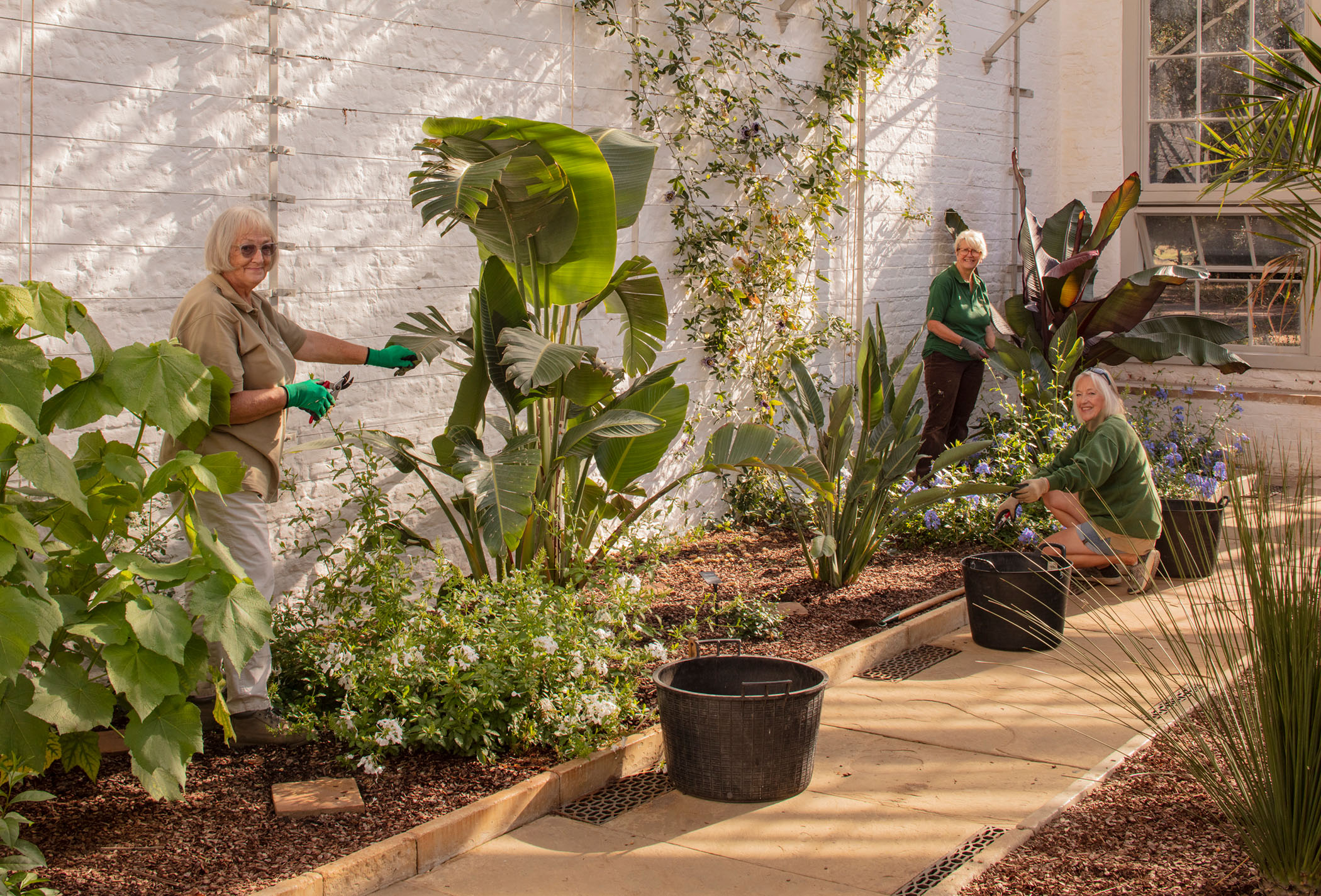 Interior view of three volunteer gardeners at work