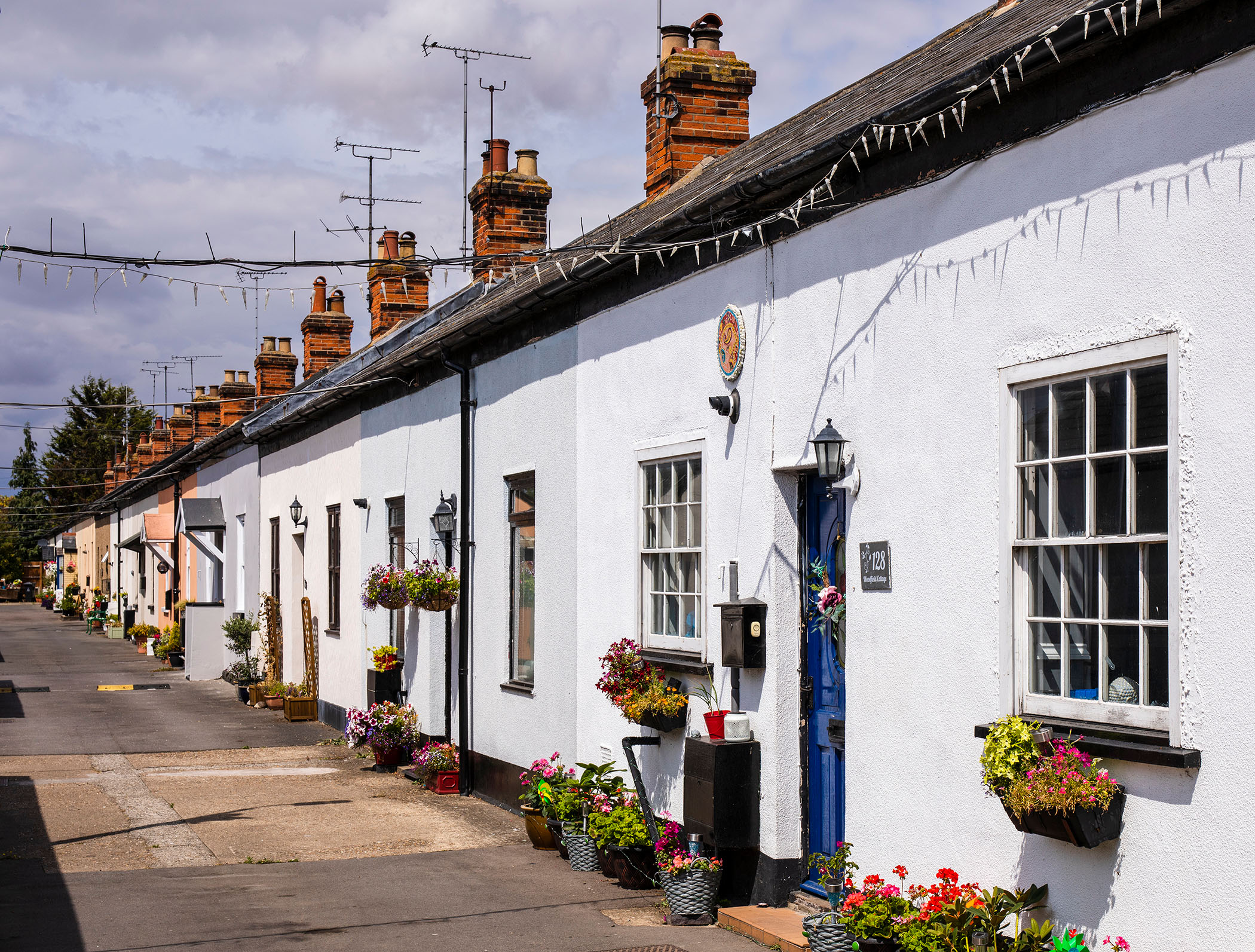 A row of one storey concrete cottages, in varying colours, with potted plants outside the front doors and window boxes.