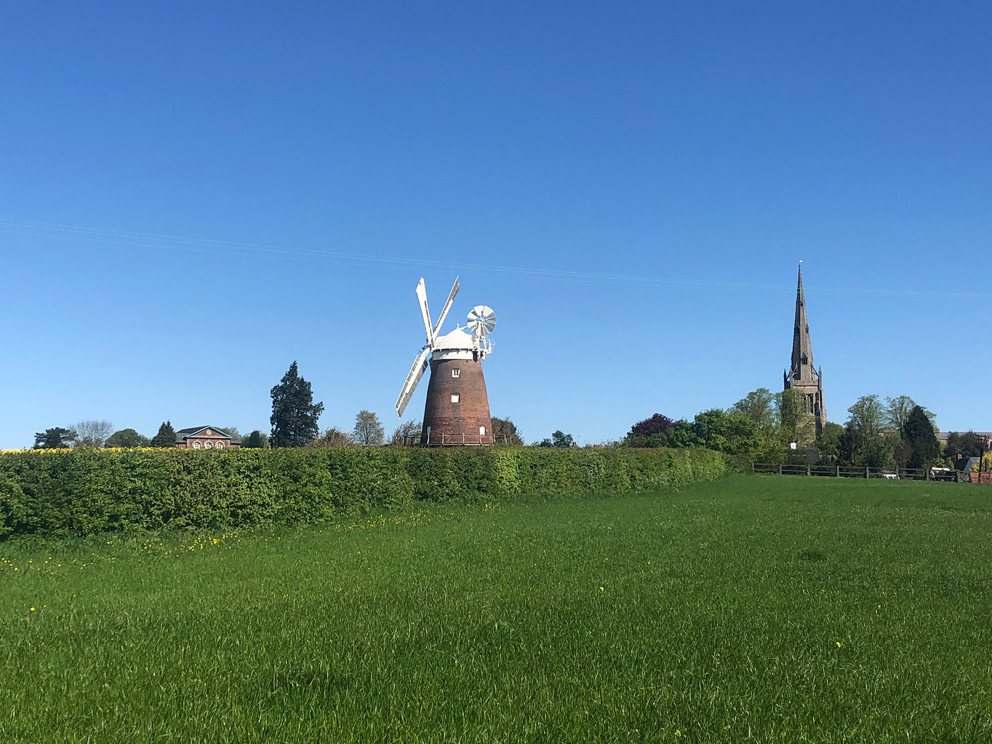 Thaxted Windmill can be seen in the distance alongside the church over summer fields across the hedgerow