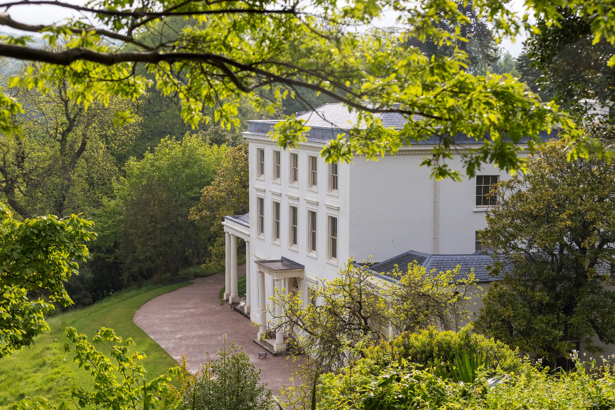 Side view of three story white house, with trees surrounding.