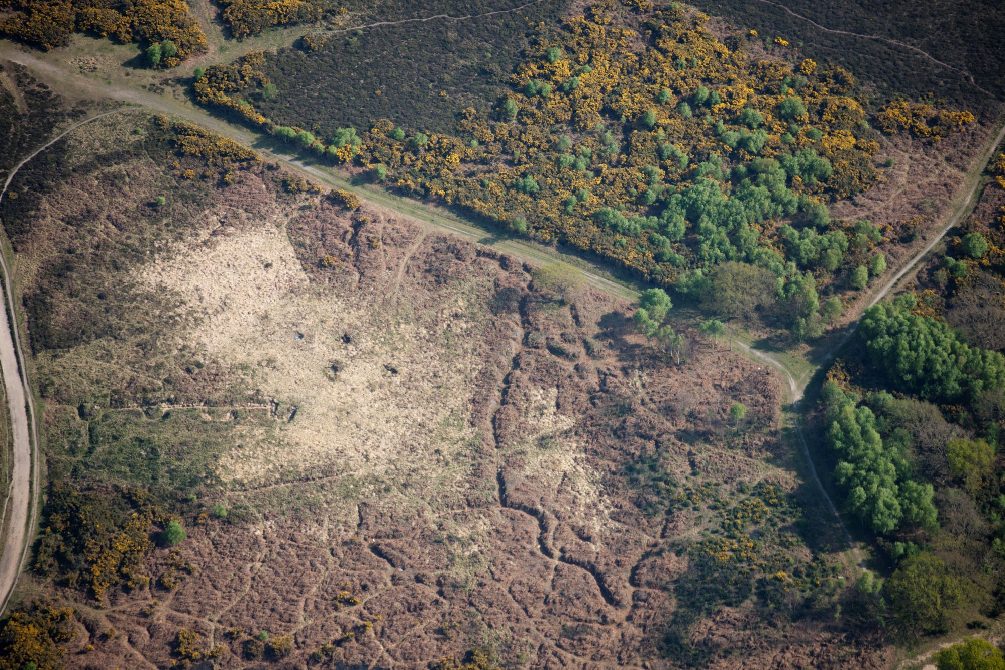 Aerial photograph of landscape with trench features