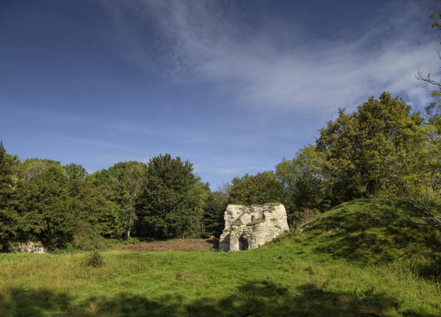 A photo of a stone ruin in a green landscape